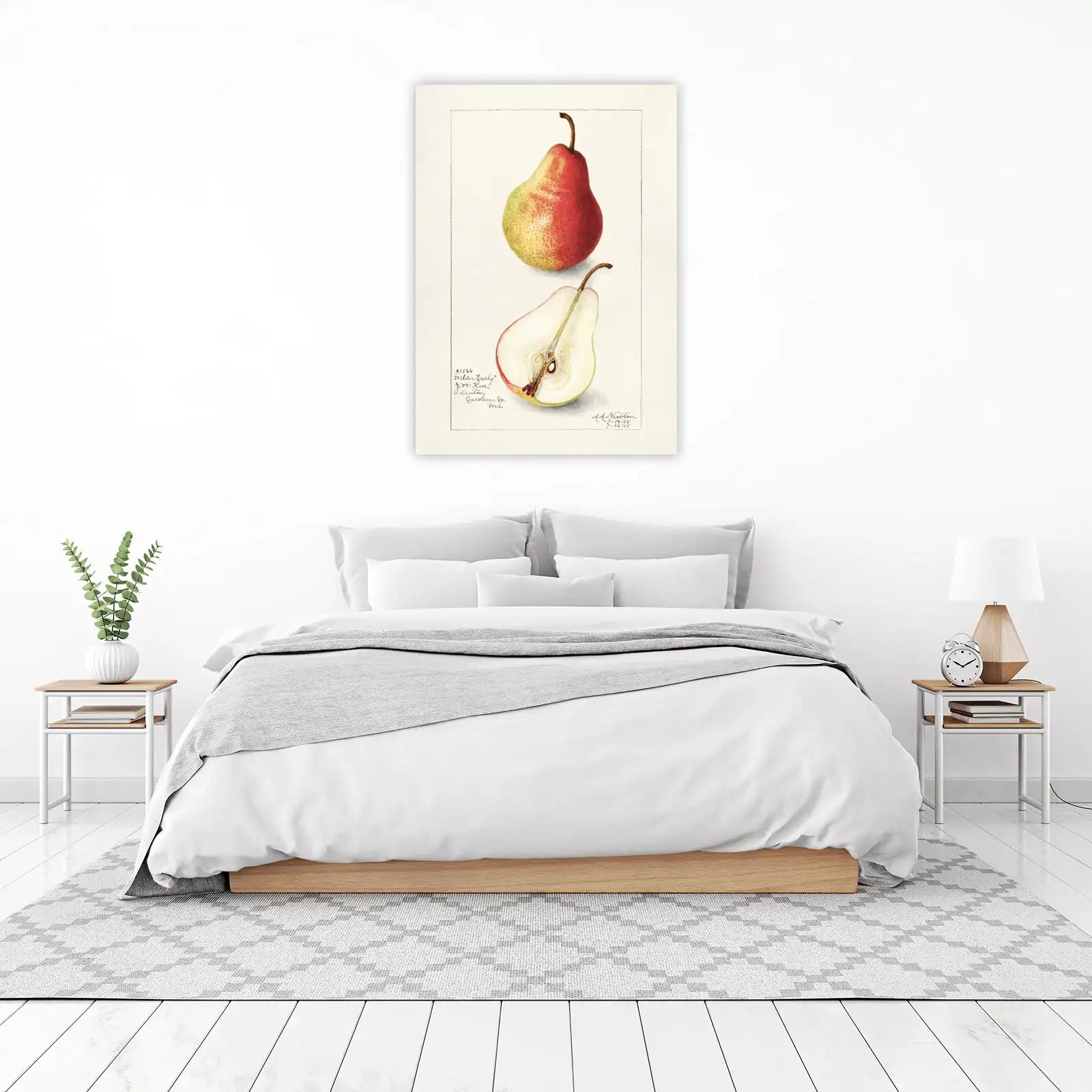 Botanical Pear Art "Wilder Early" Wall Art