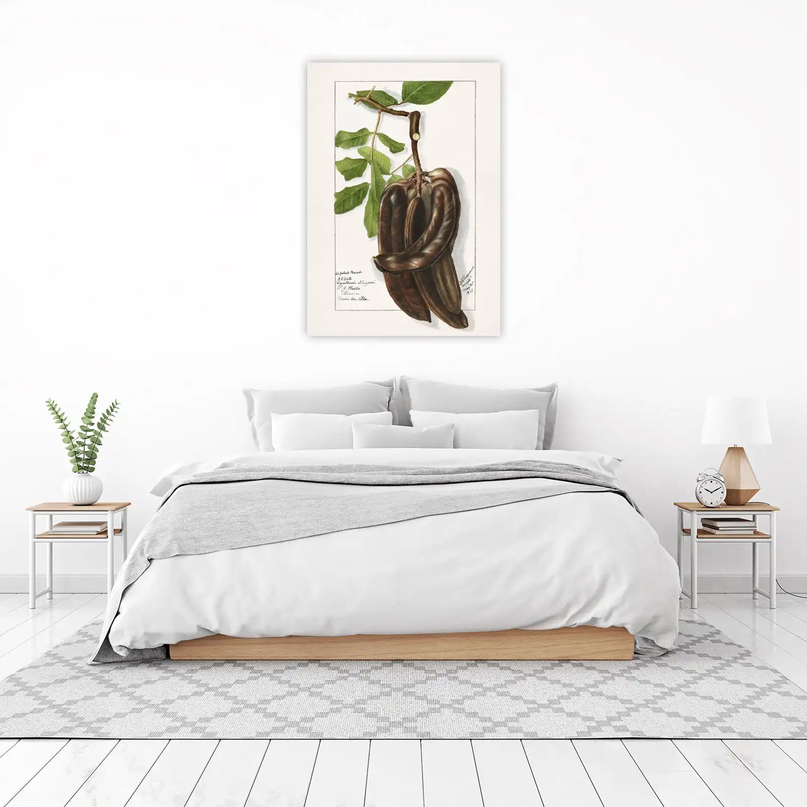Vintage Carob Pod Botanical Wall Art