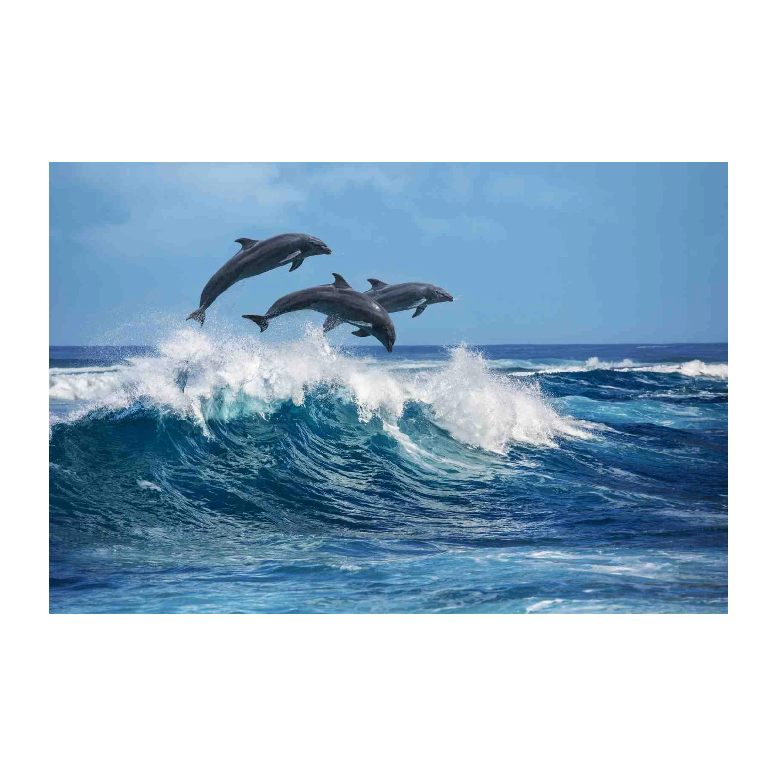 Dolphins Leaping Ocean Waves Wall Art