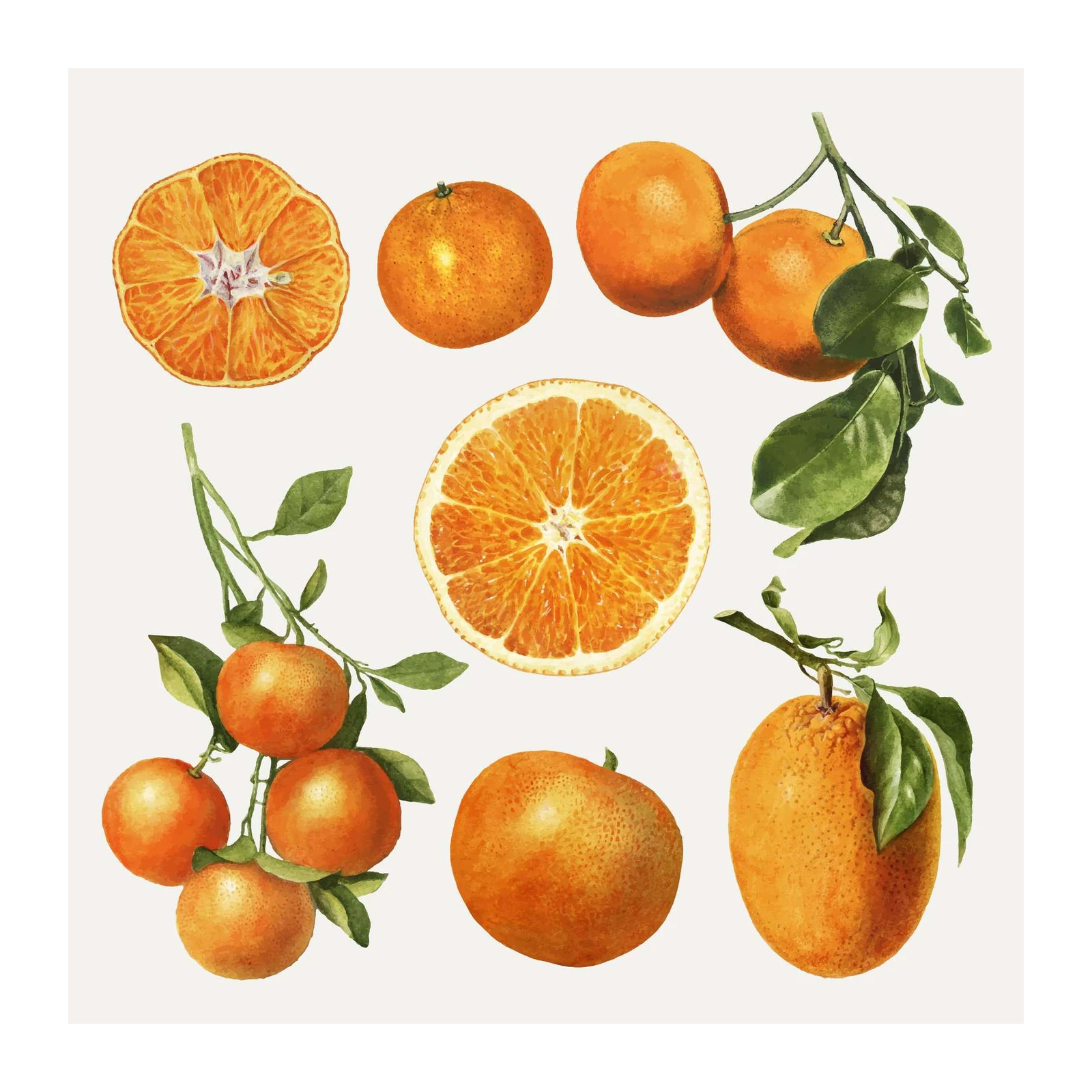 Vibrant Citrus Harvest: Orange Wall Art Wall Art