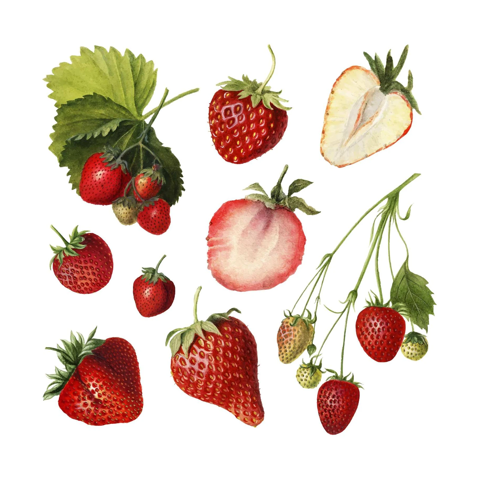 Vibrant Watercolor Strawberry Burst Wall Art