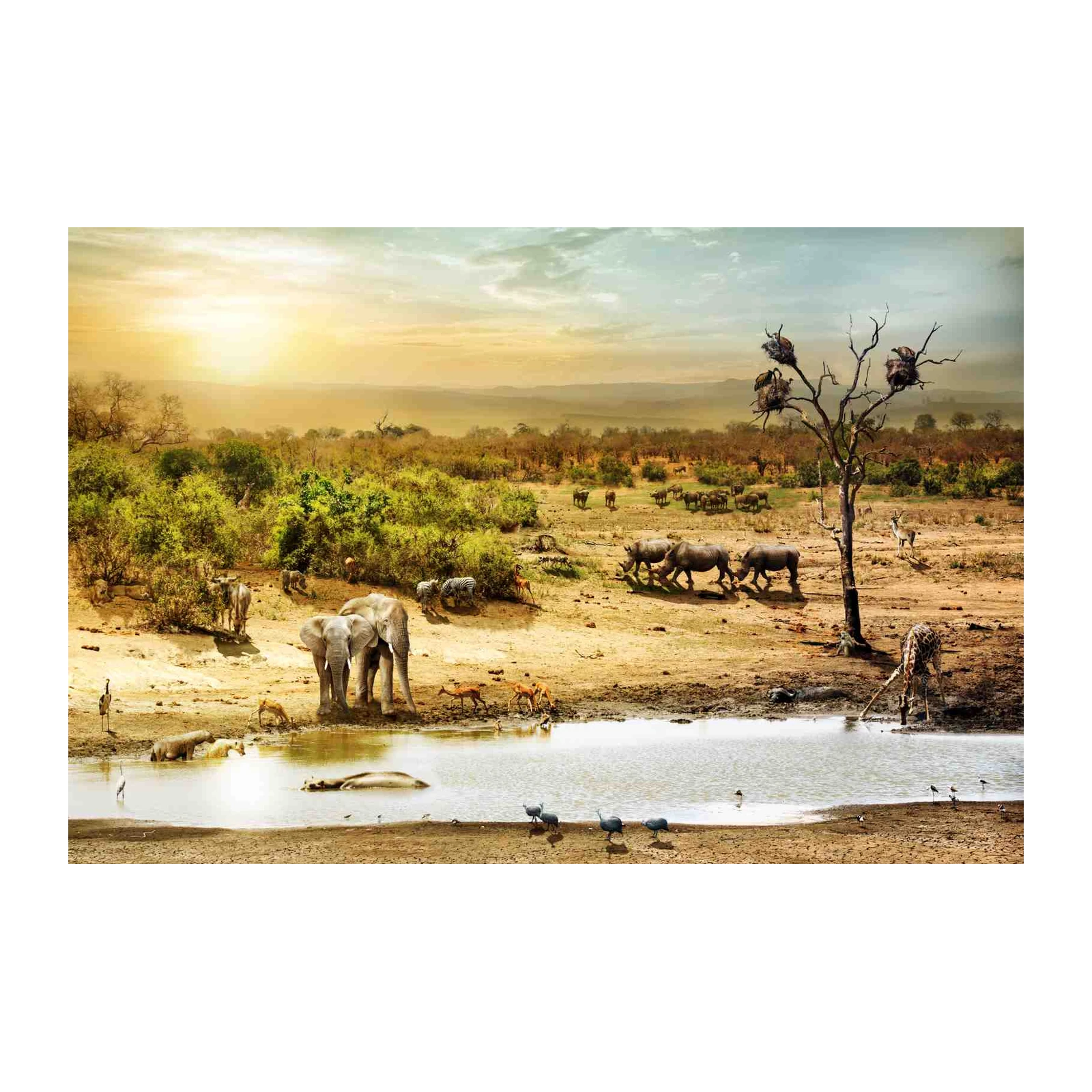 Safari Wildlife Panorama Wall Art