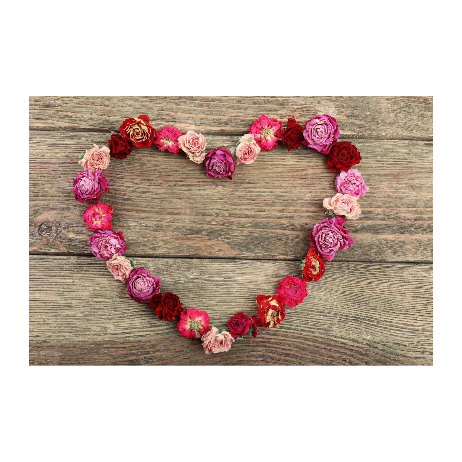 Romantic Rose Heart Wall Art Wall Art