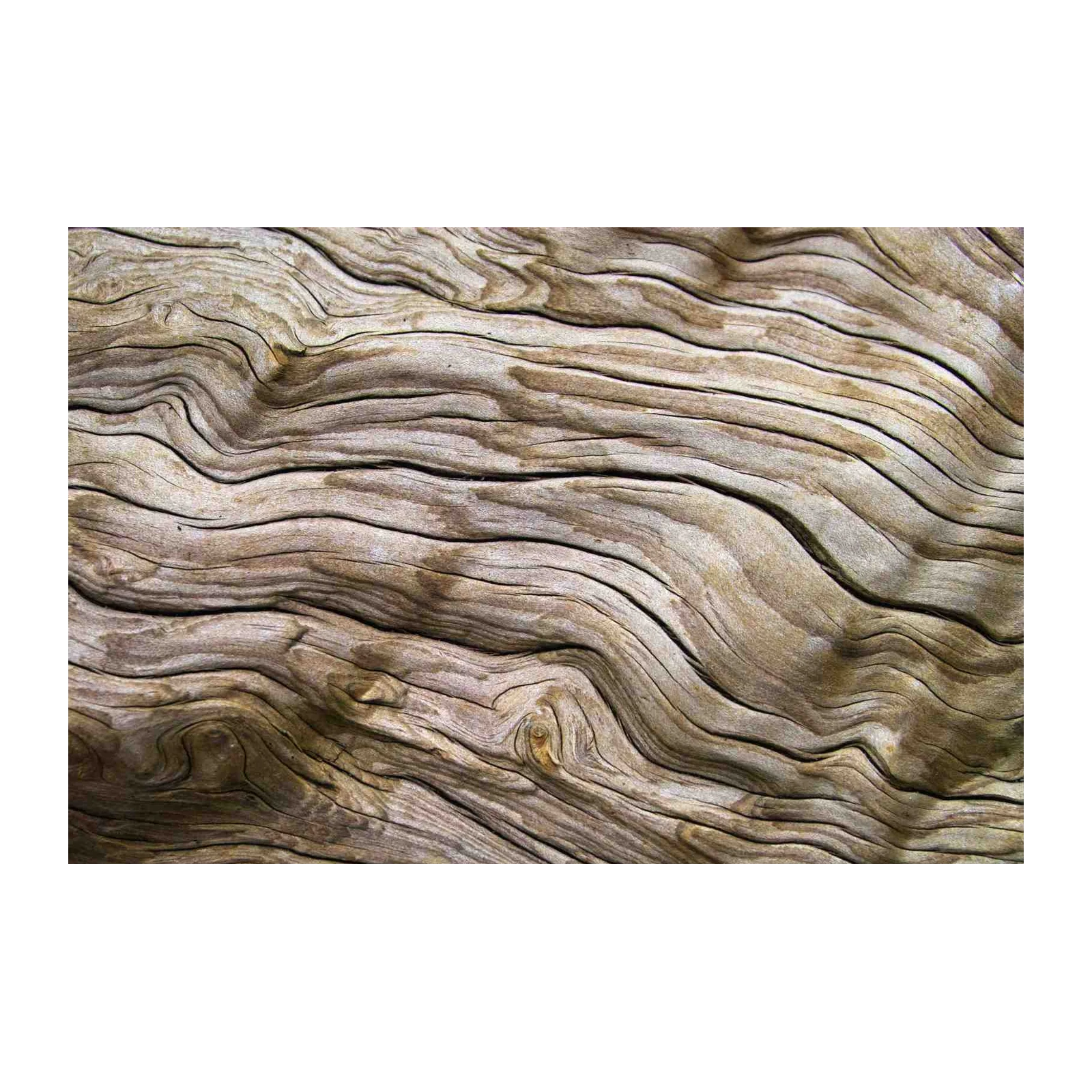 Organic Wood Grain Texture Wall Art