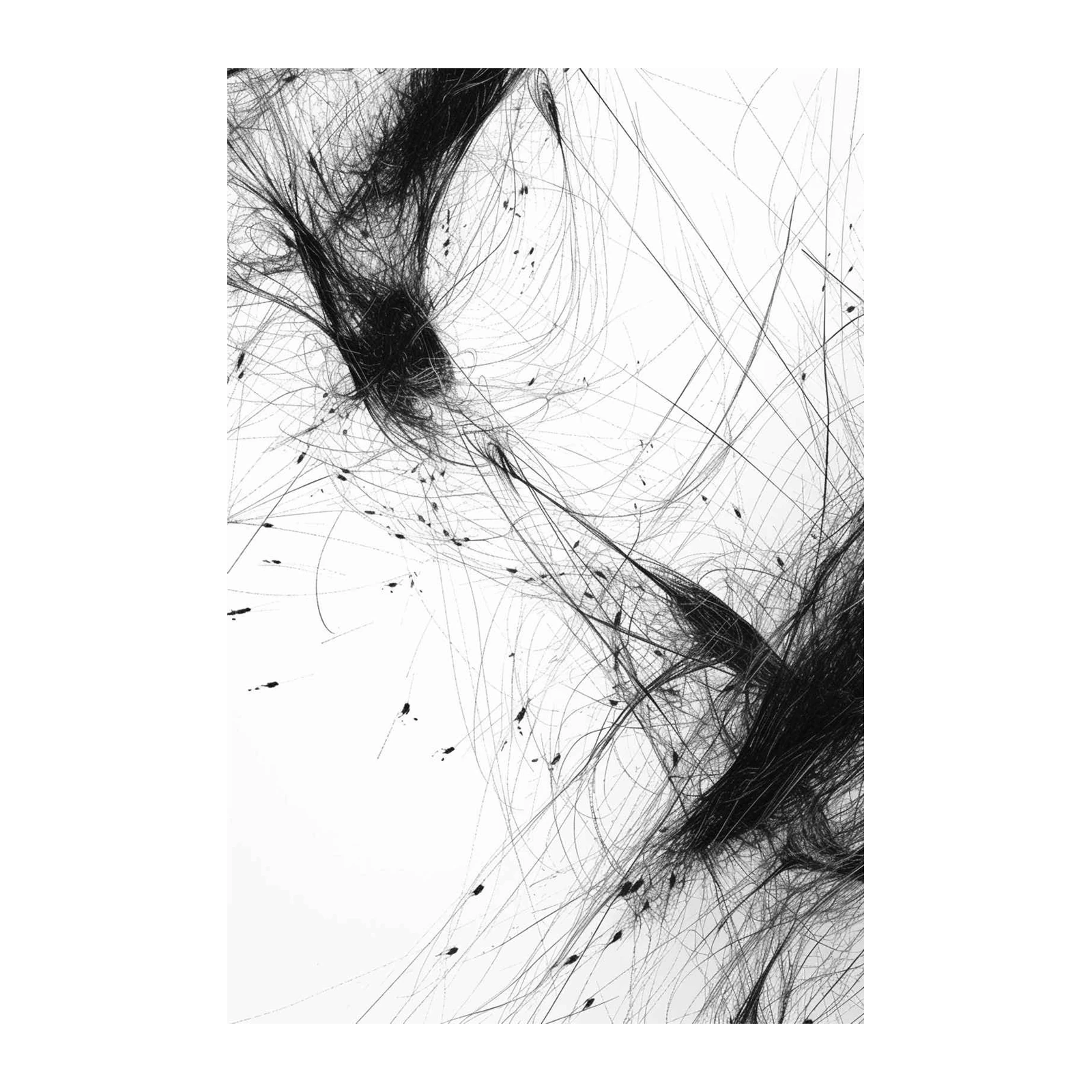Abstract Black & White Hair Strands Wall Art