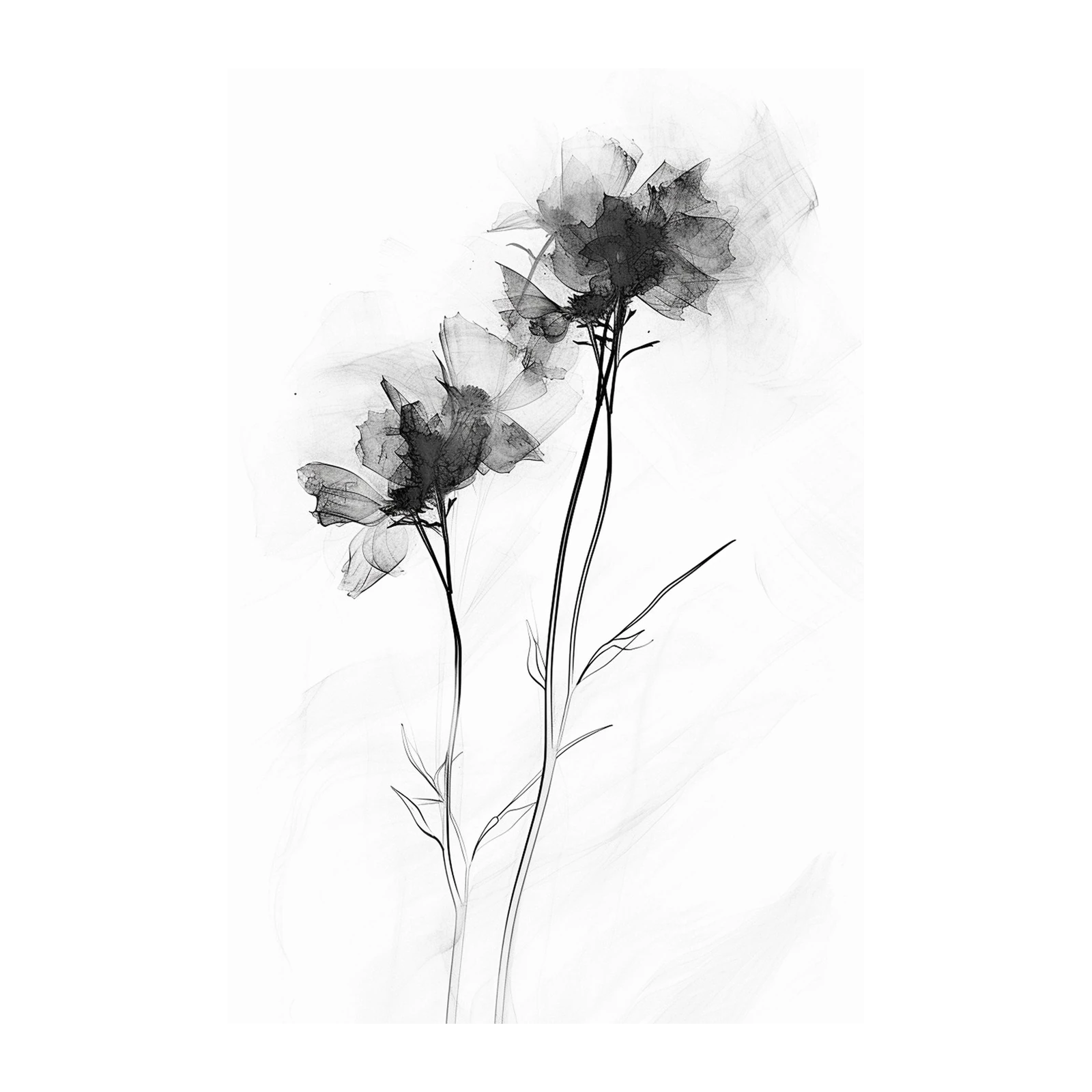 Monochrome Floral Dreams Wall Art