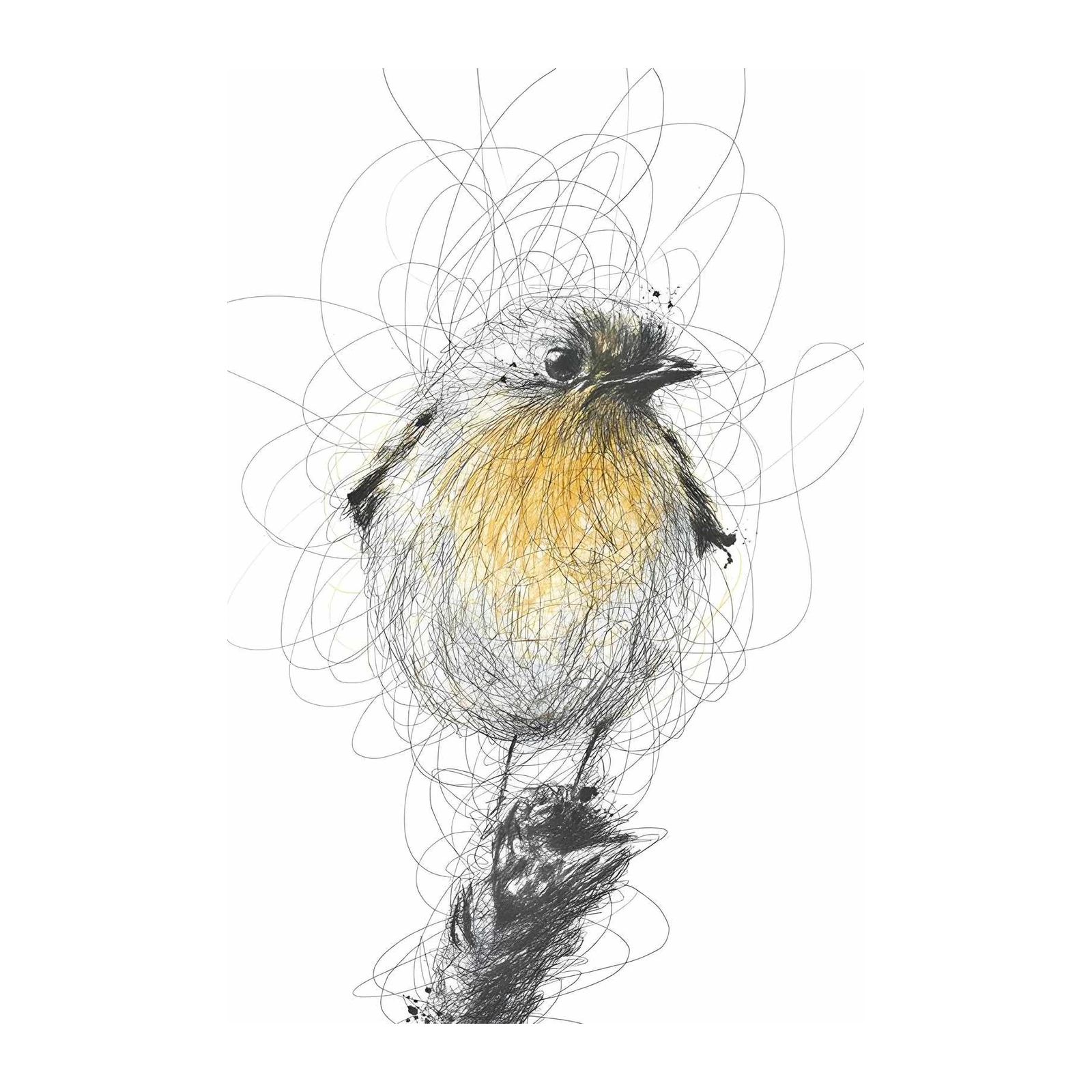 Whimsical Robin Scribble Art Wall Art
