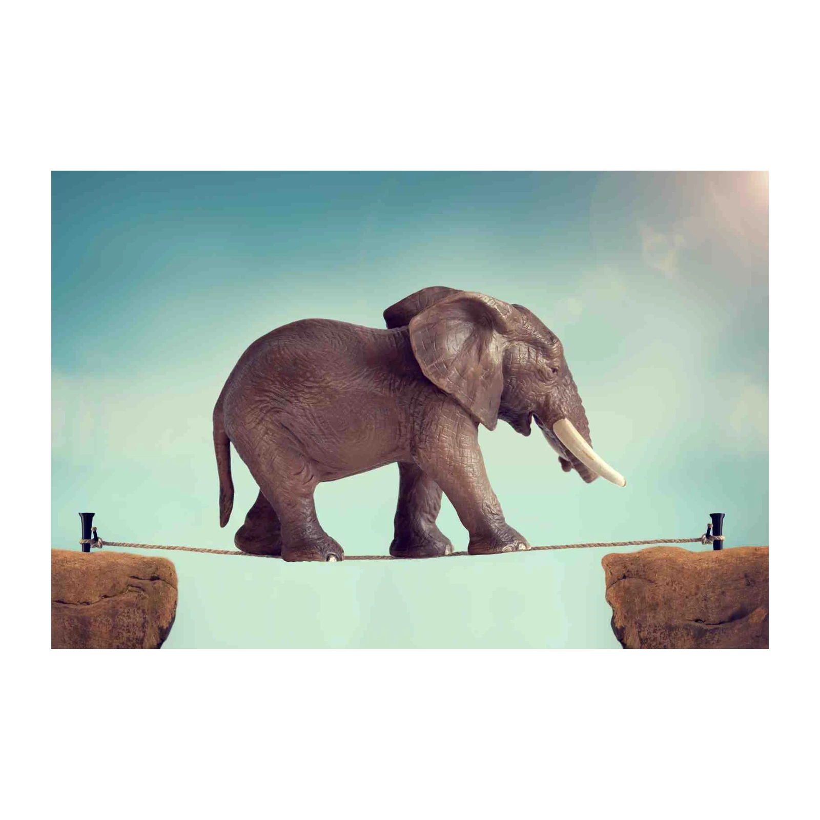 Elephant Balance Tightrope Art Wall Art