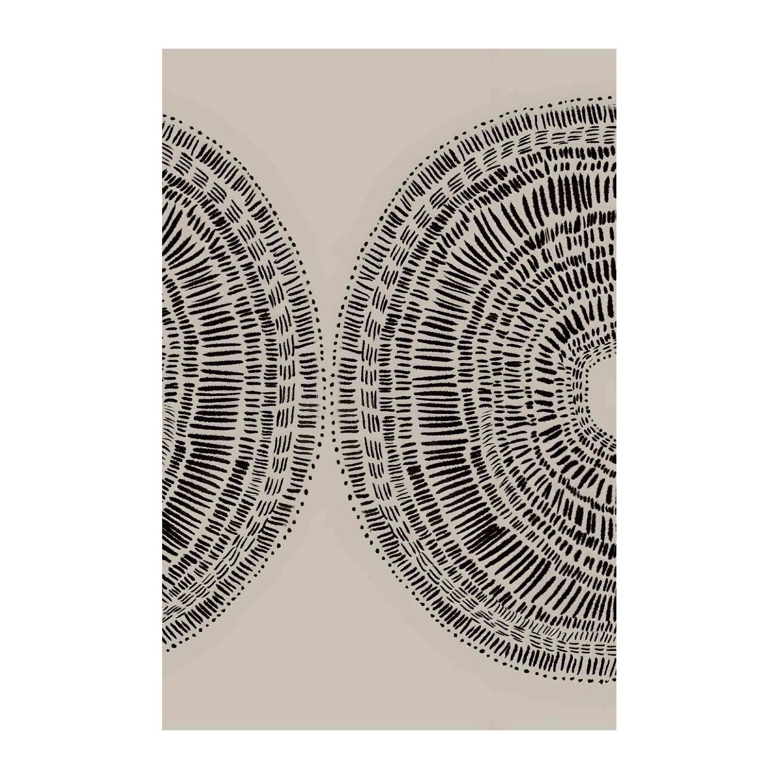 Abstract Black & White Organic Lines Wall Art