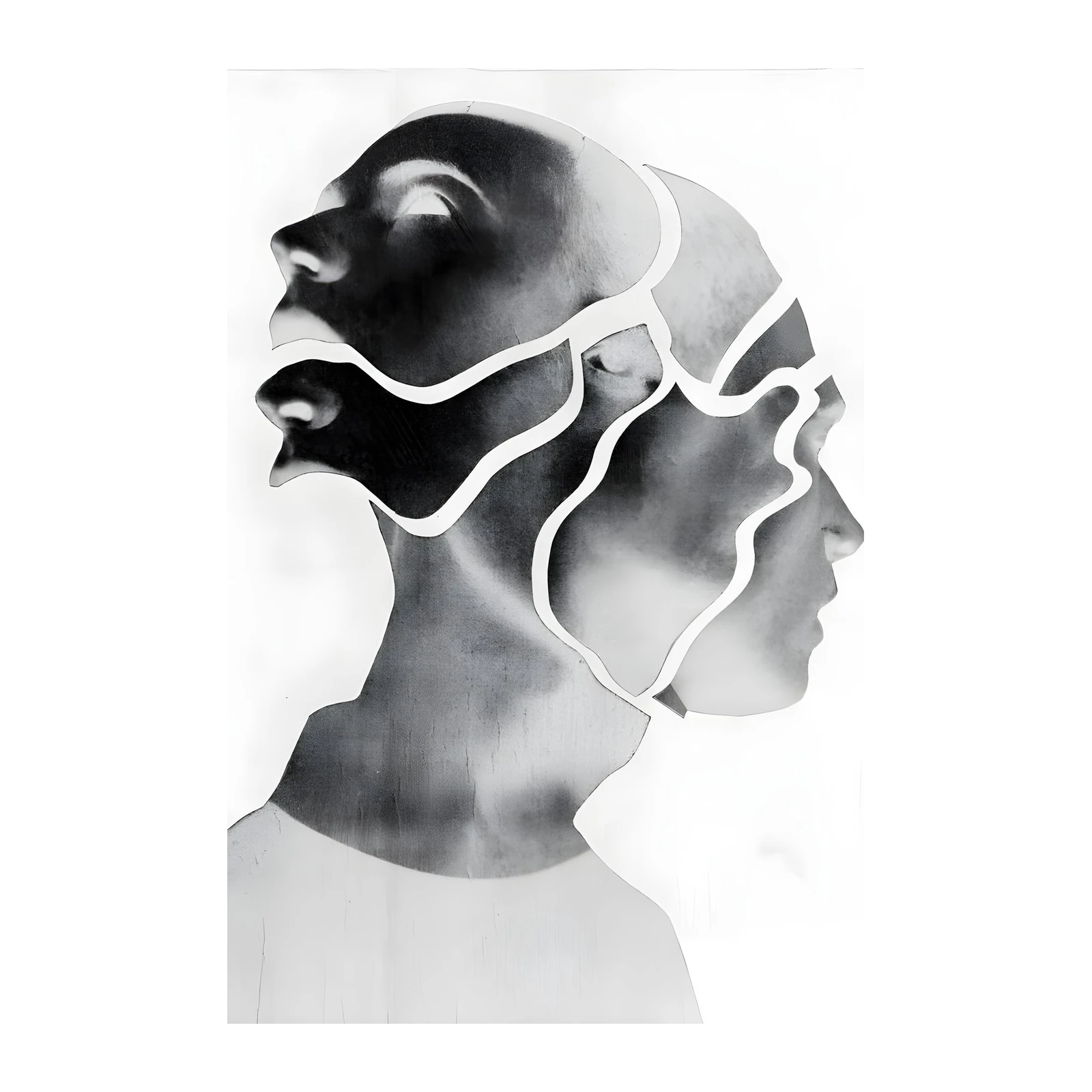 Abstract Fragmented Face Monochrome Wall Art