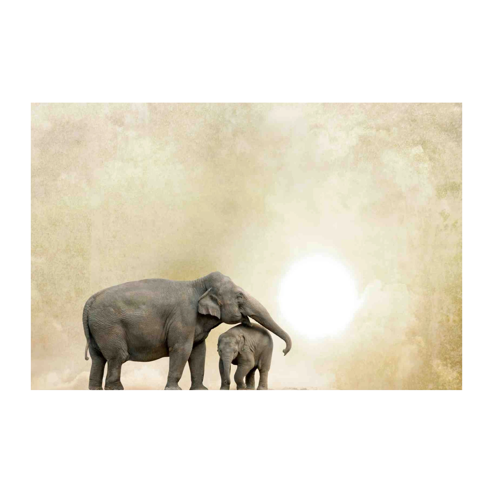 Gentle Giants Elephant Family Wall Art