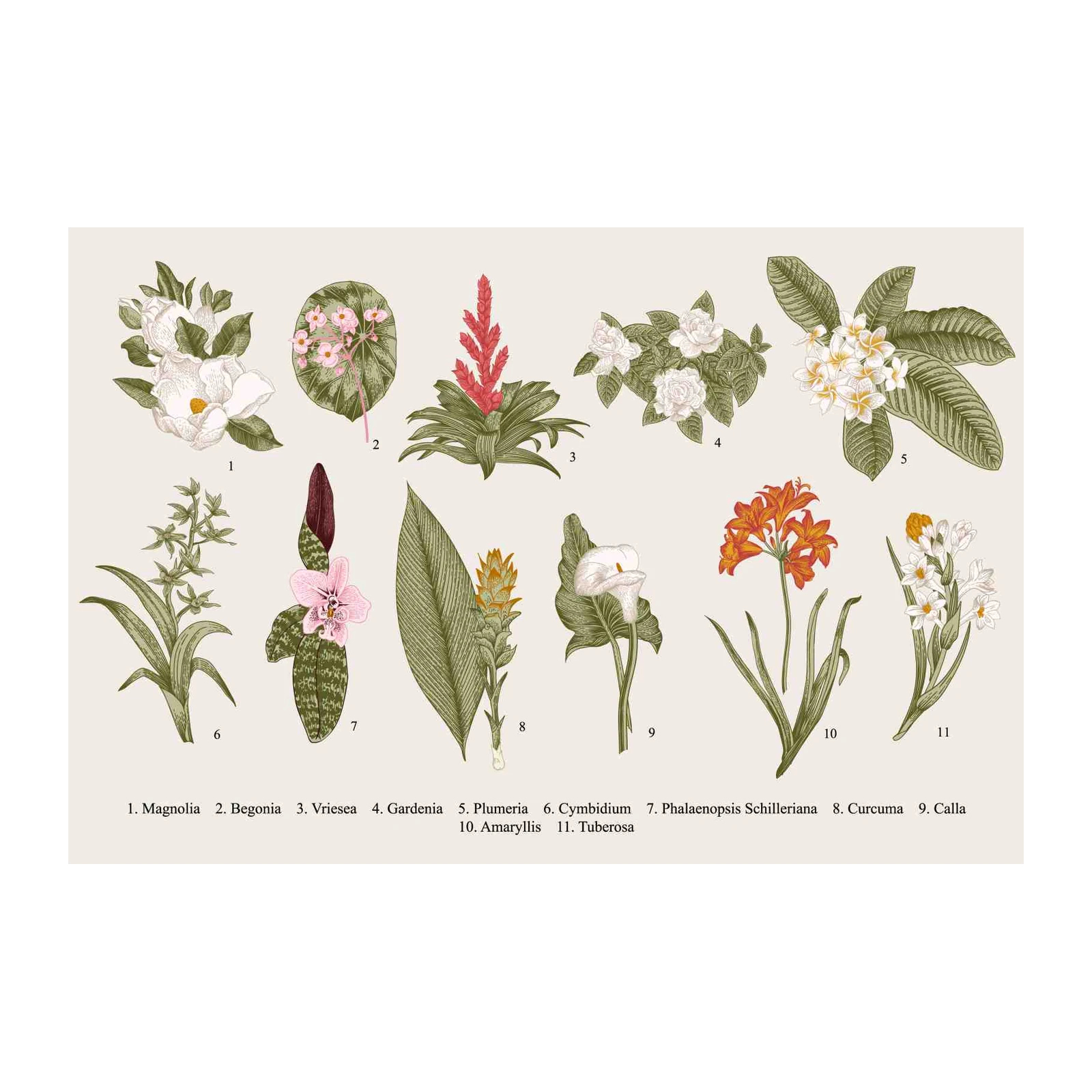 Vintage Botanical Flower Wall Art Wall Art