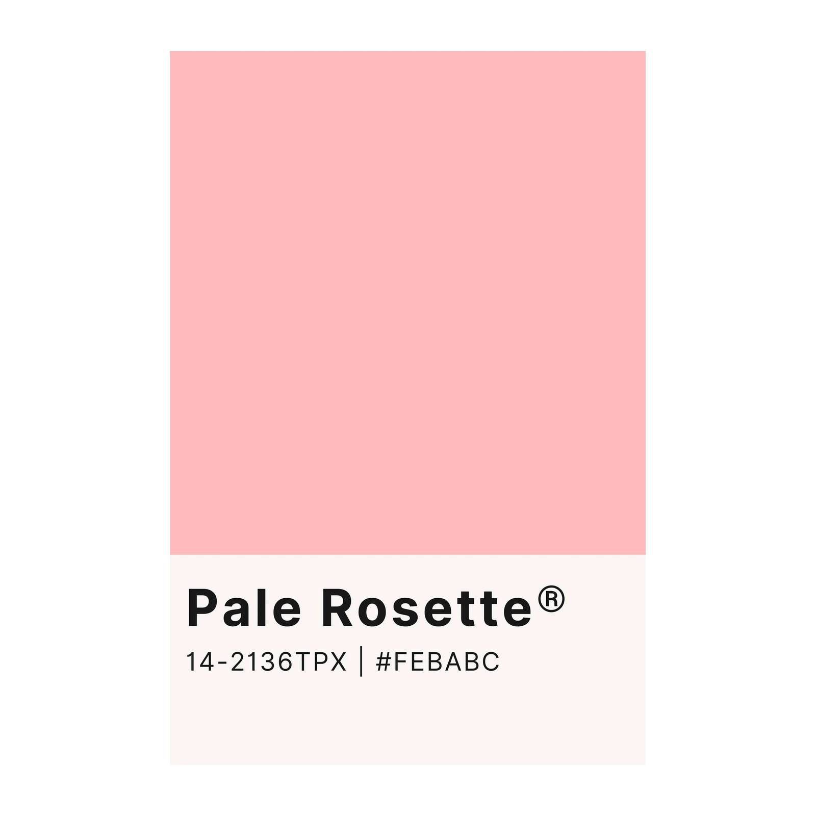 Soft Pink Pale Rosette Wall Art | Minimalist Art