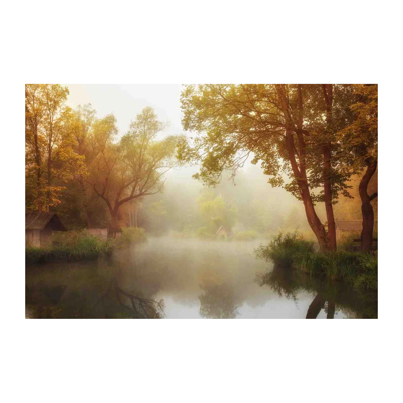 Misty Morning Lakeside Cabin Landscape Wall Art