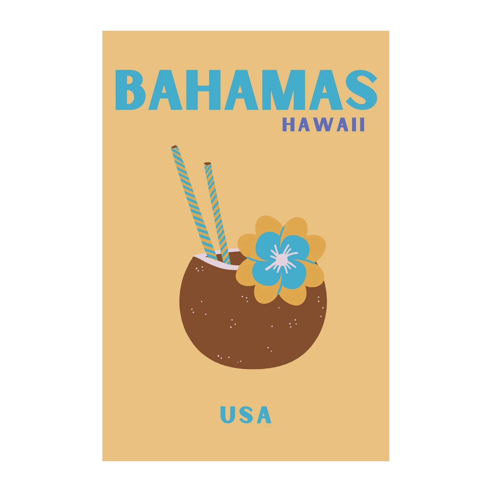 Bahamas Hawaii Tropical Coconut Drink Wall Art