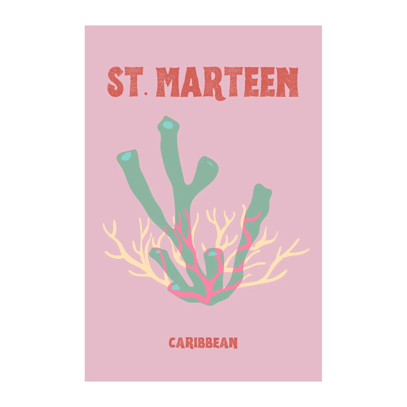 St. Marteen Coral Caribbean Wall Art Wall Art
