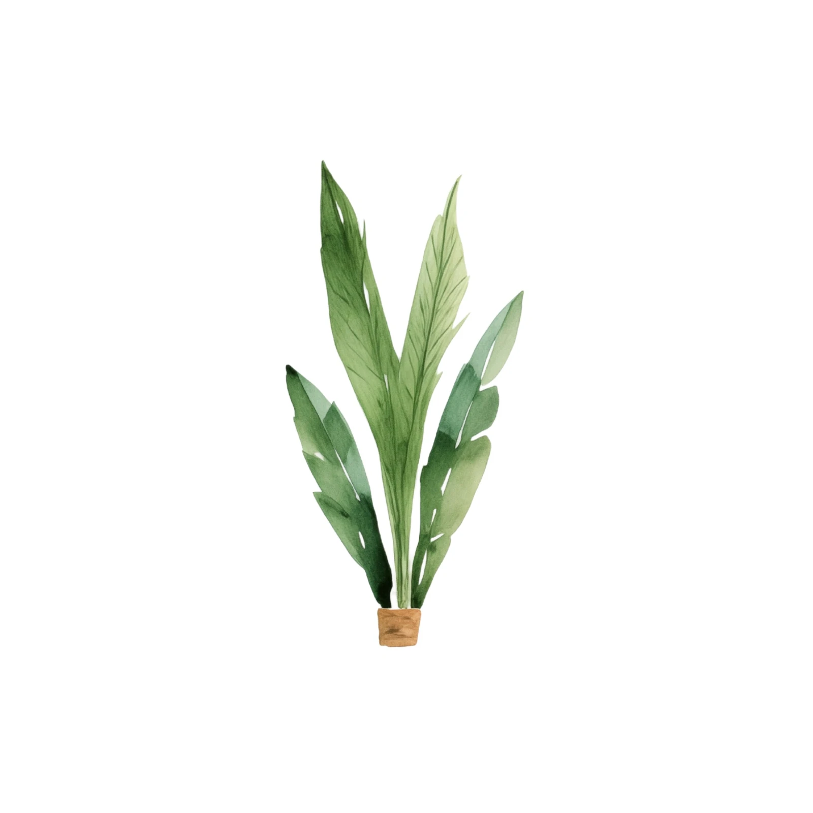 Botanical Elegance Watercolor Plant Wall Art