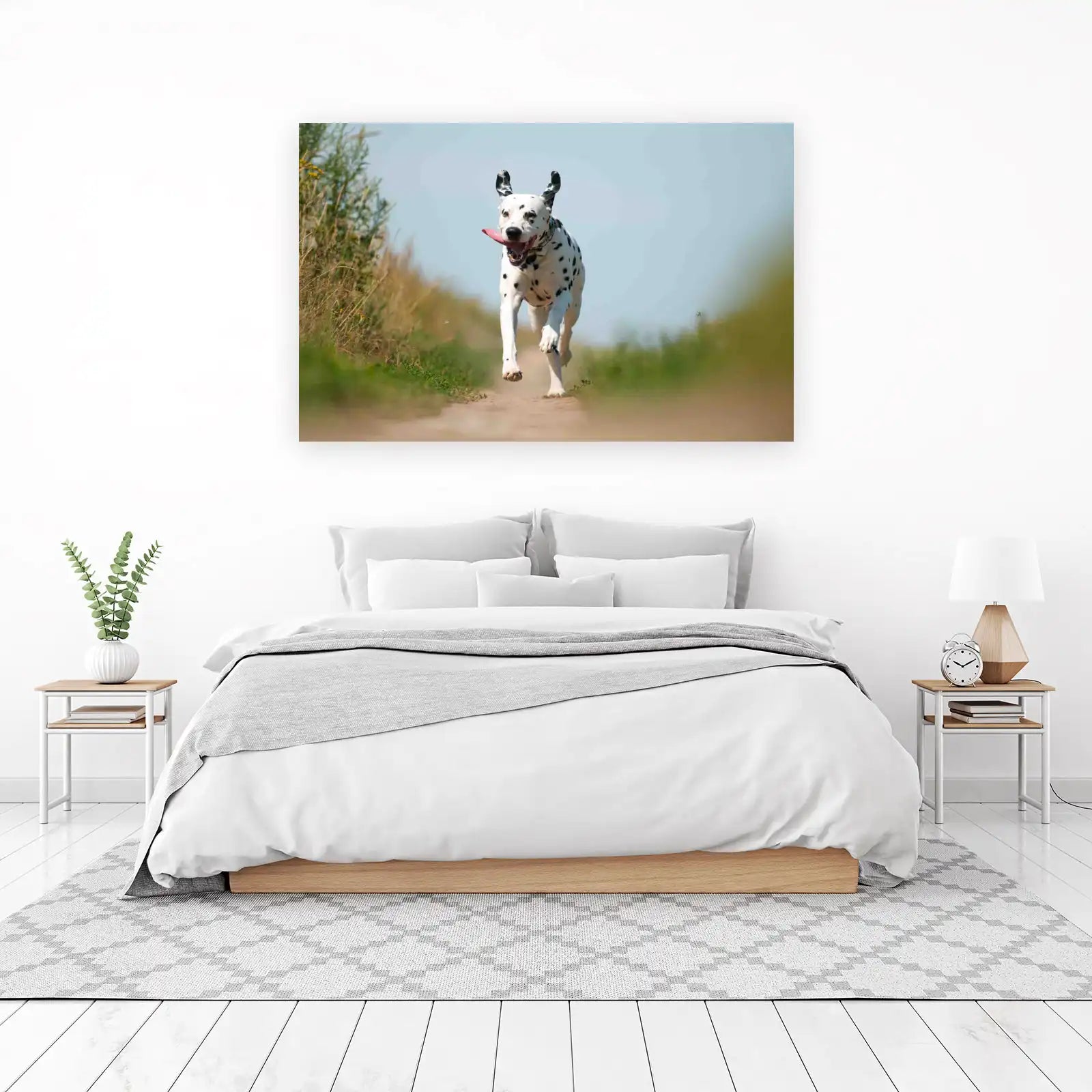 Joyful Dalmatian Running Free Wall Art