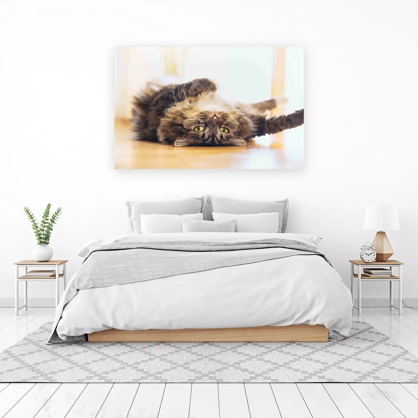 Playful Tabby Cat Rolling Over Wall Art