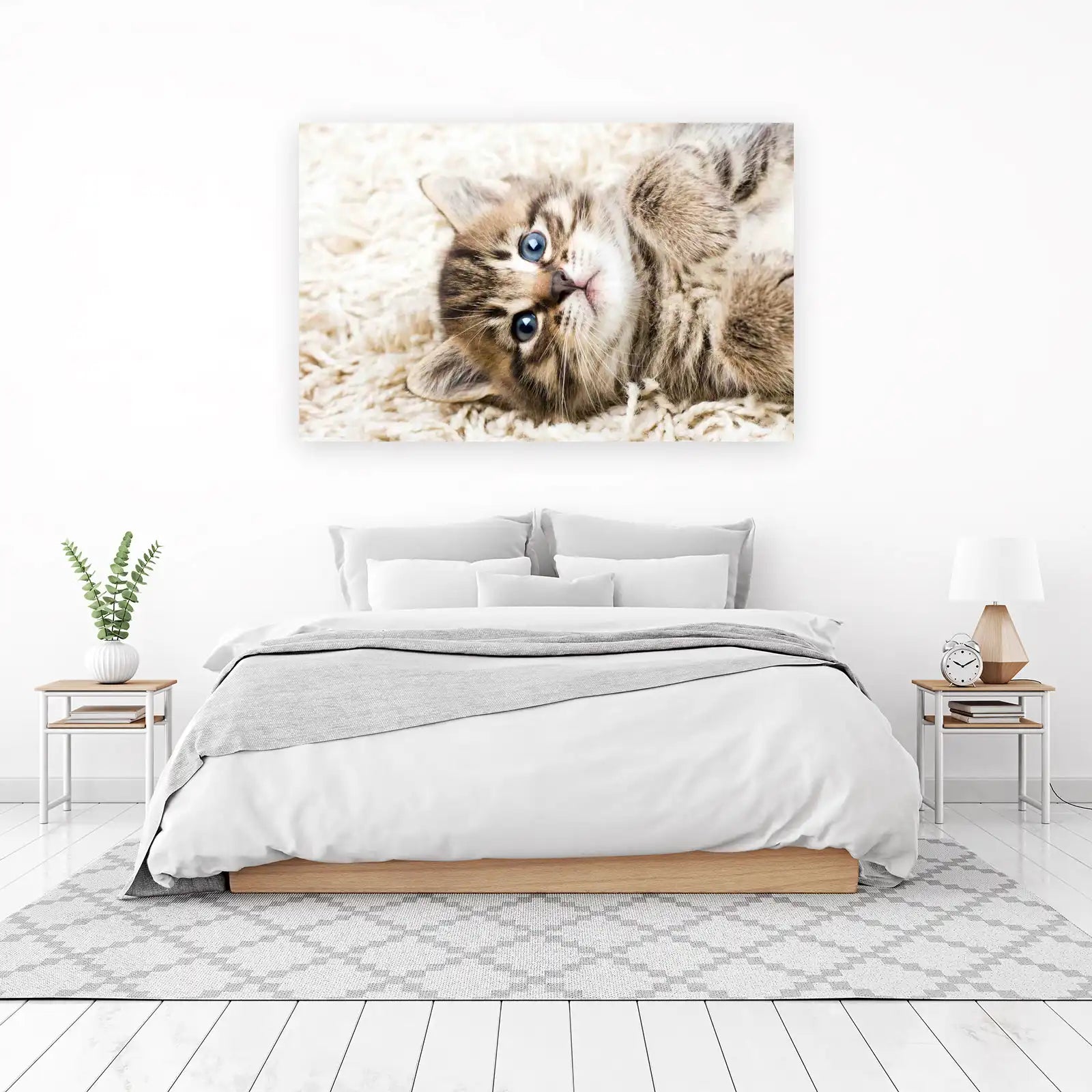 Adorable Kitten Blue Eyes Wall Art