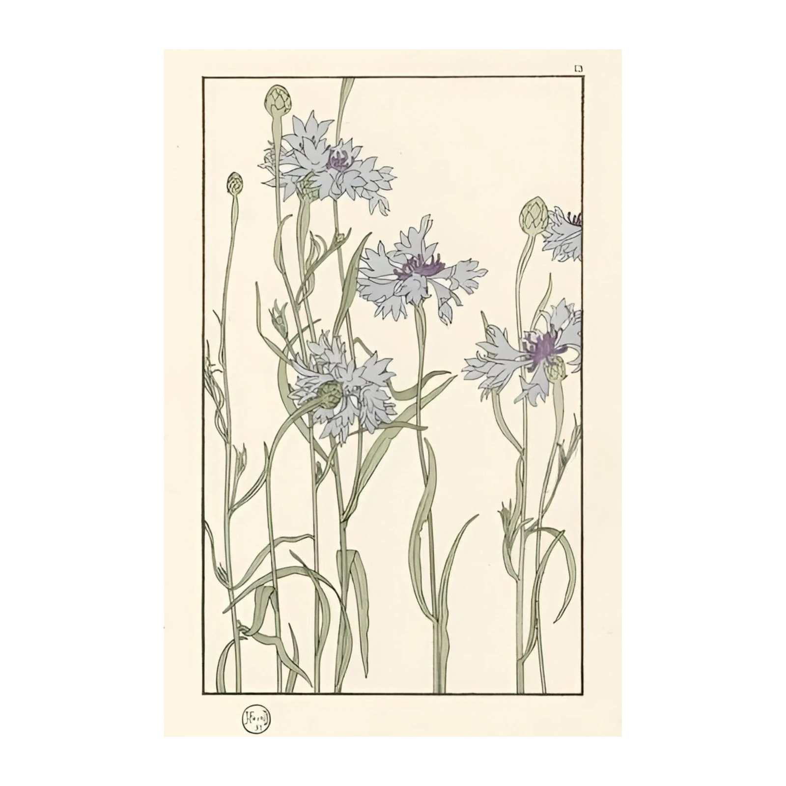 Art Nouveau Blue Cornflower Wall Art