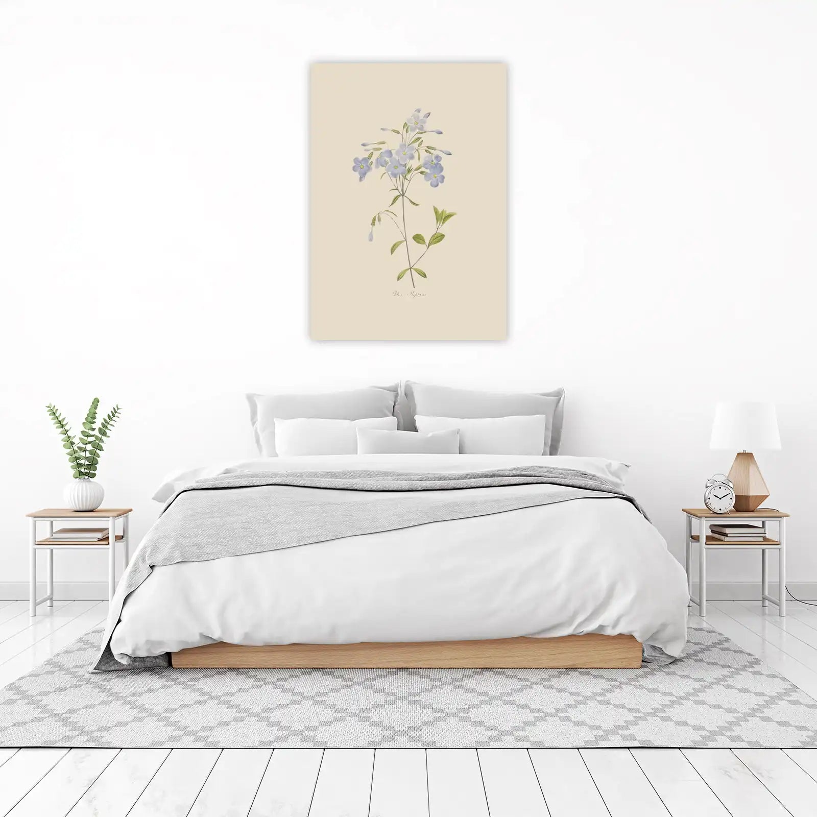 Delicate Blue Phlox botanical art Wall Art