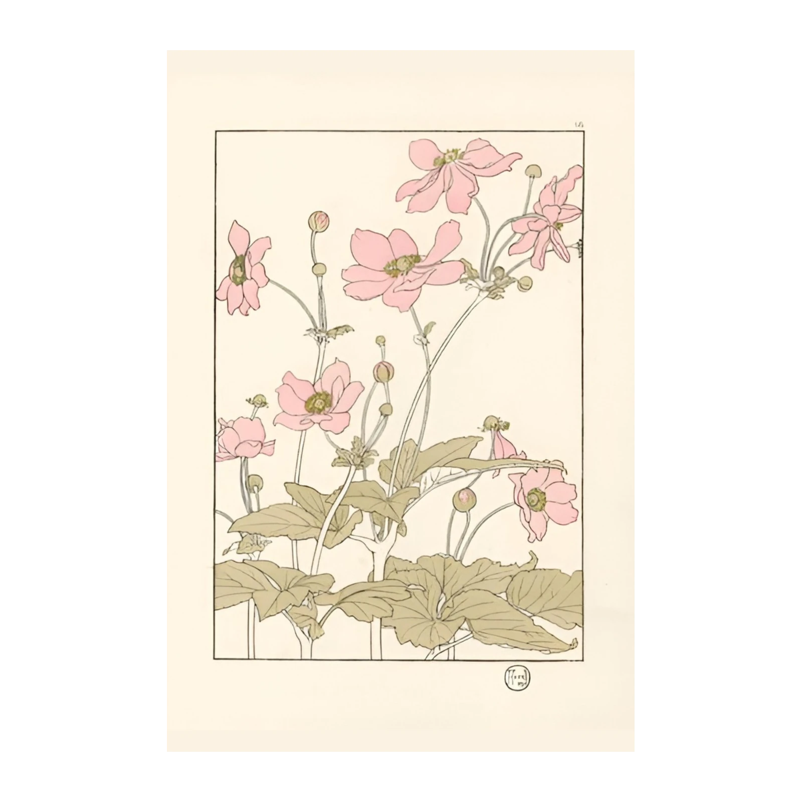 Blush Blossom Japanese Anemone Wall Art