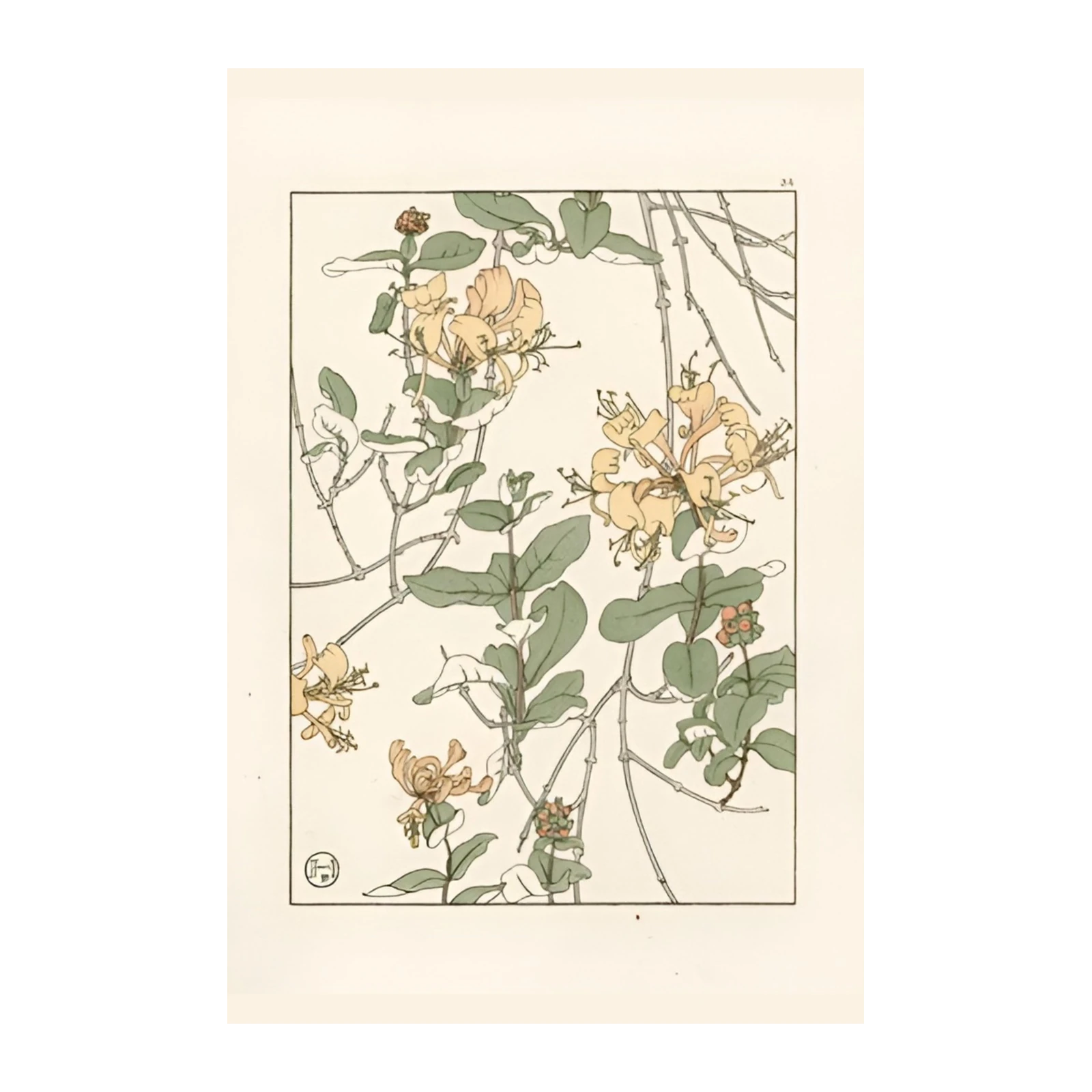 Vintage Honeysuckle Botanical Wall Art Wall Art