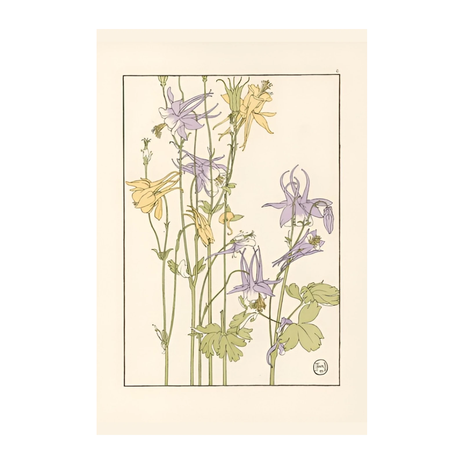 Vintage Floral Columbine Art Wall Art
