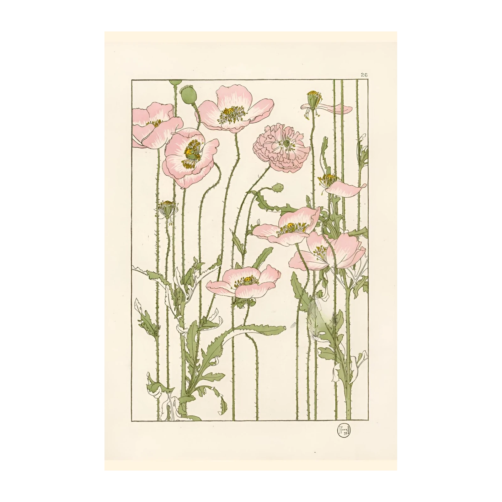 Elegant Pink Poppies Botanical Wall Art