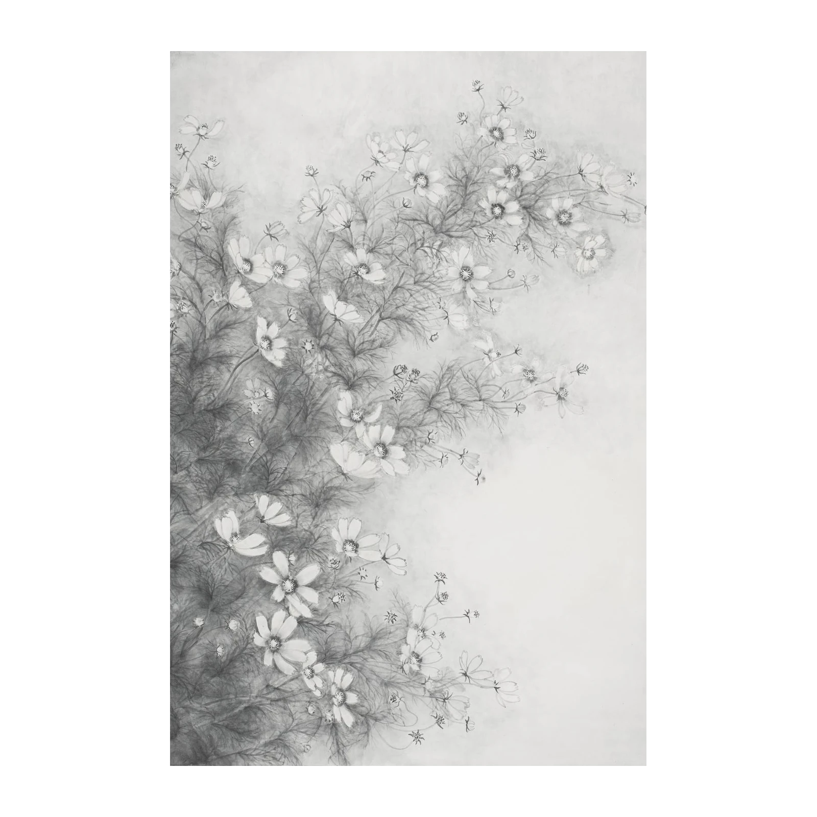 Elegant Cosmos Floral Charcoal Sketch Wall Art