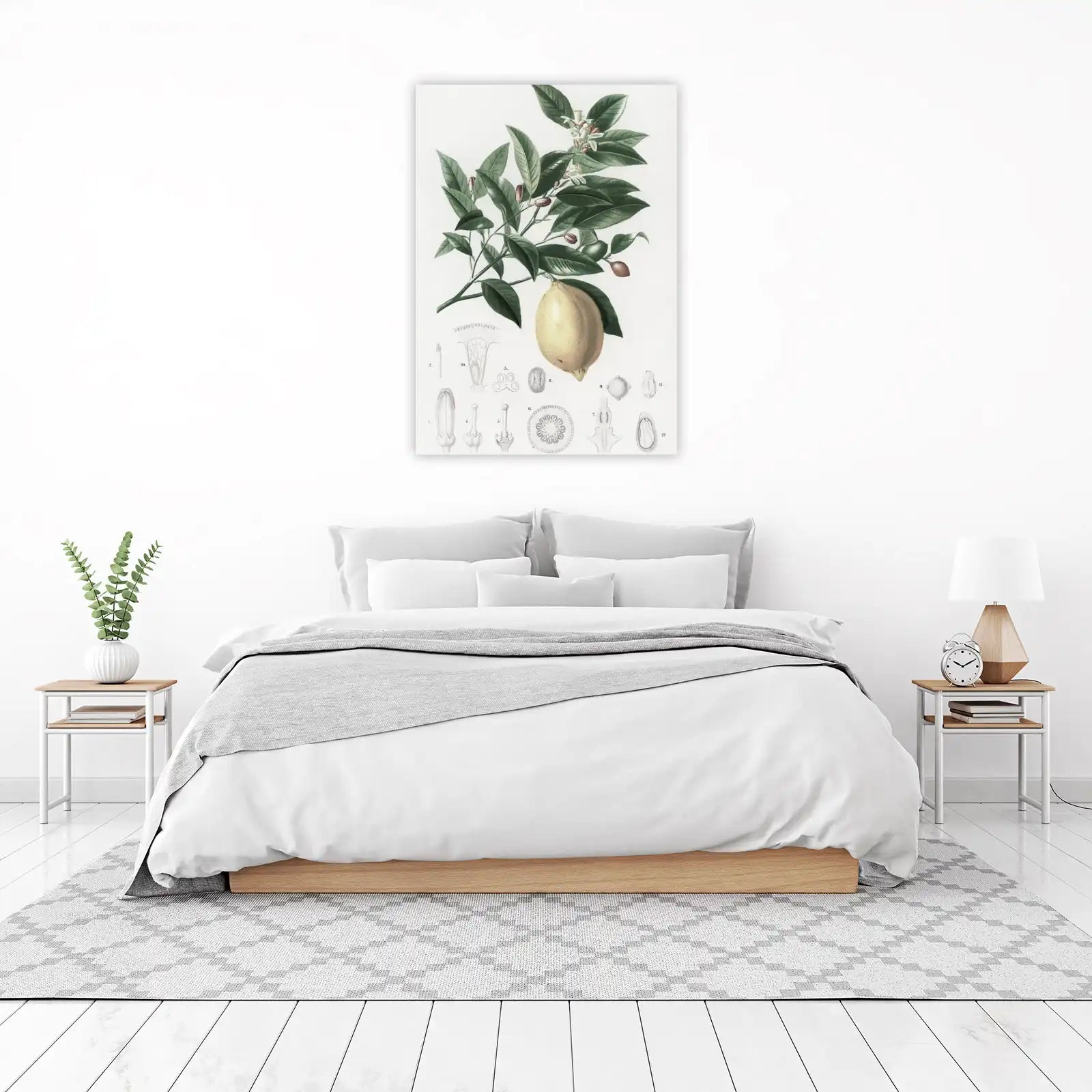 Botanical Lemon Branch & Anatomy Wall Art