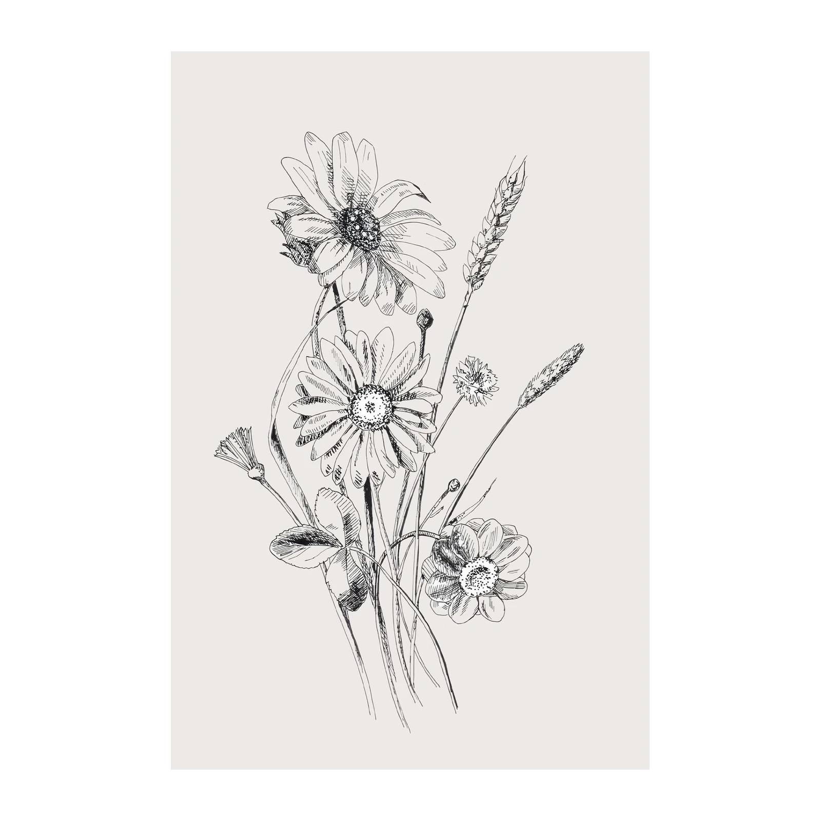 Botanical Daisy Meadow Sketch Wall Art