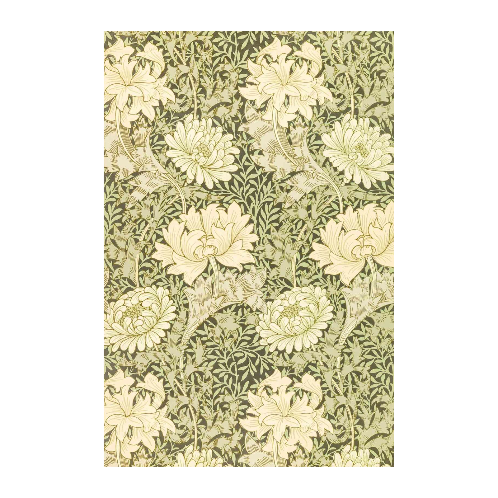 Art Nouveau Floral Cream Chrysanthemum Wall Art