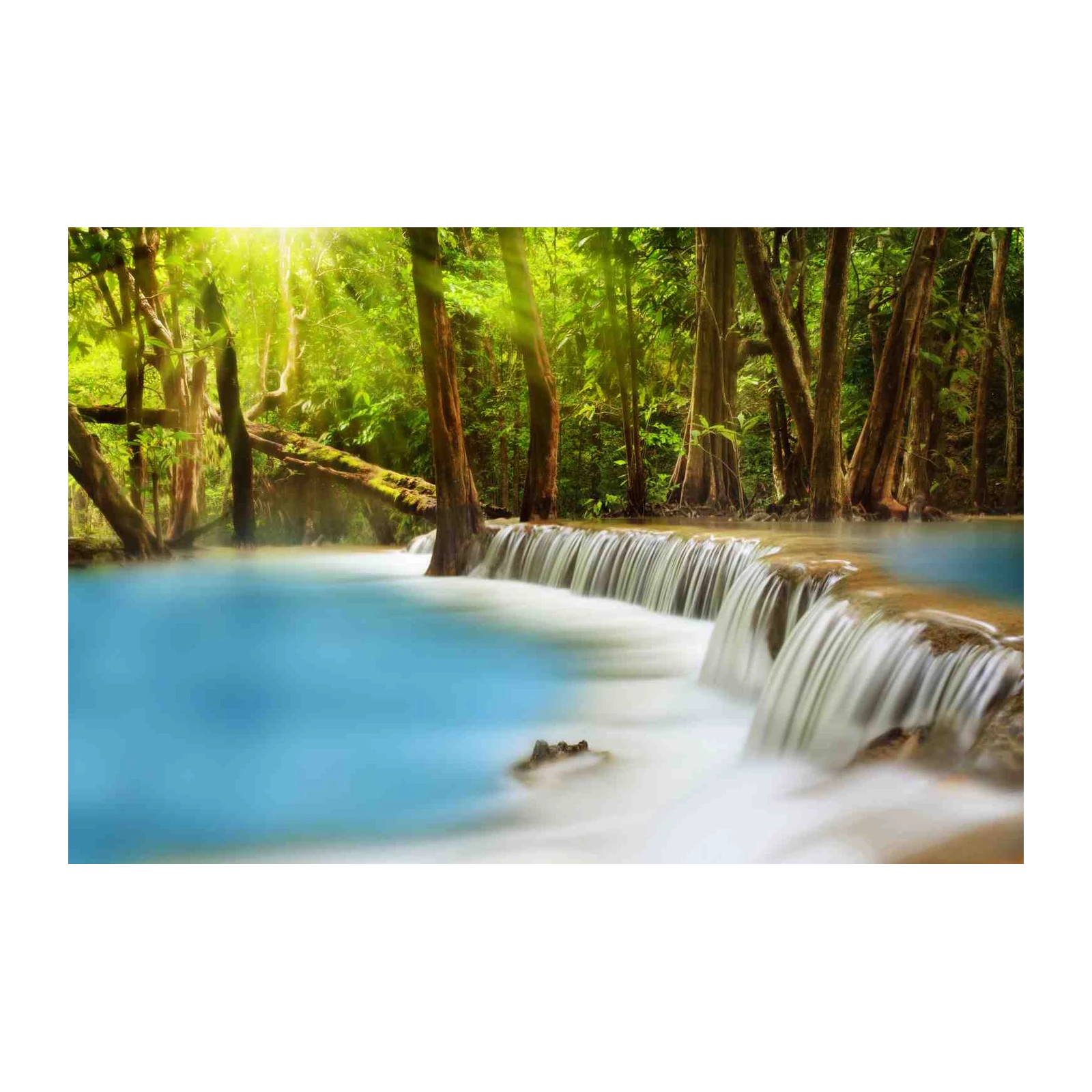 Tranquil Waterfall Tropical Forest Wall Art