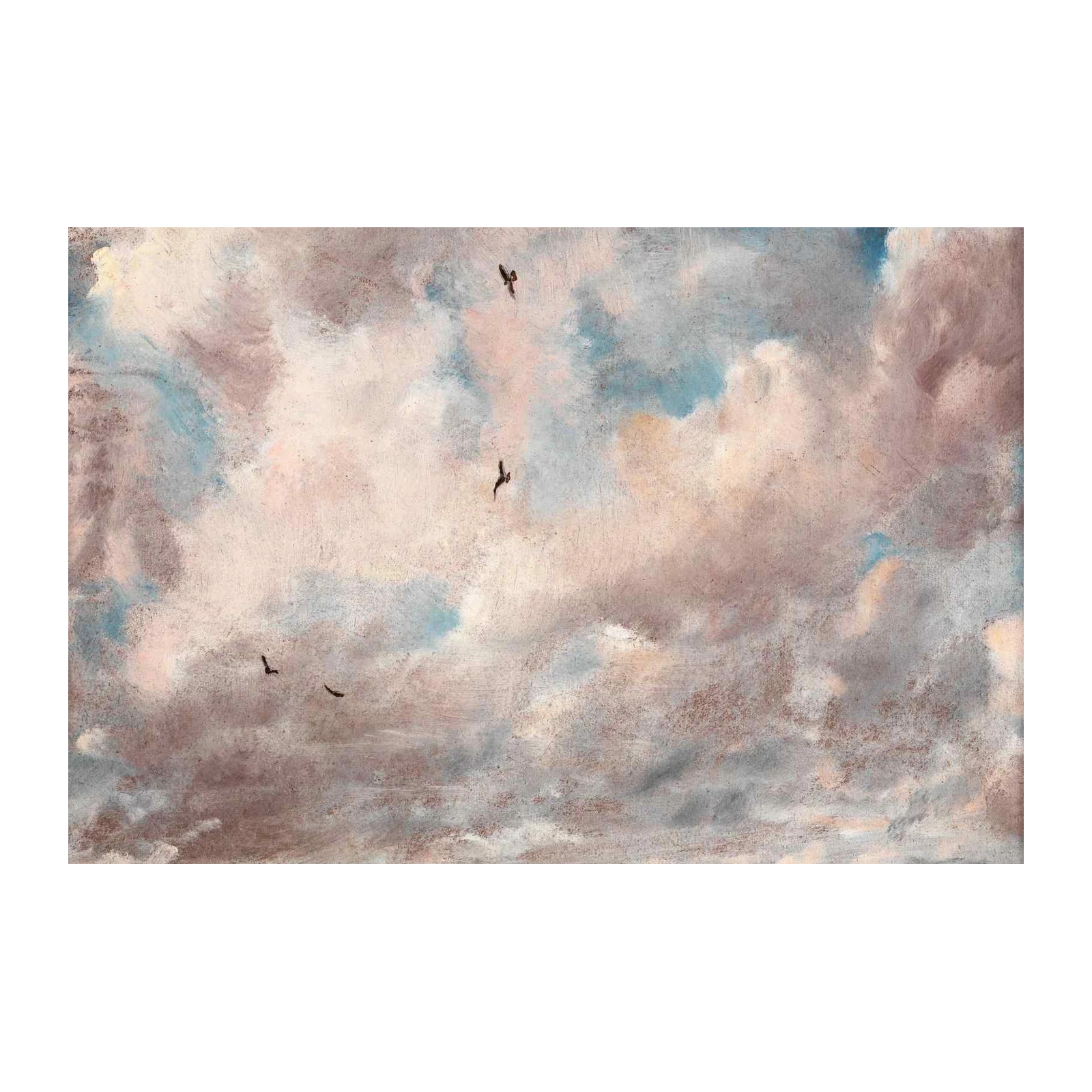 Birds in Dramatic Sky Wall Art