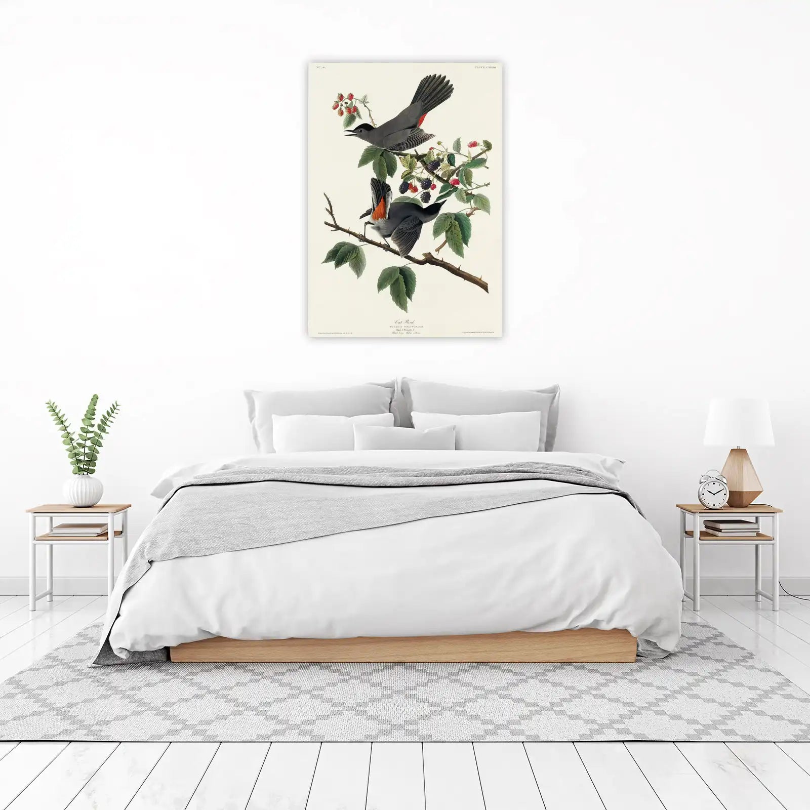 Gray Catbird and Blackberries Vintage Bird Wall Art