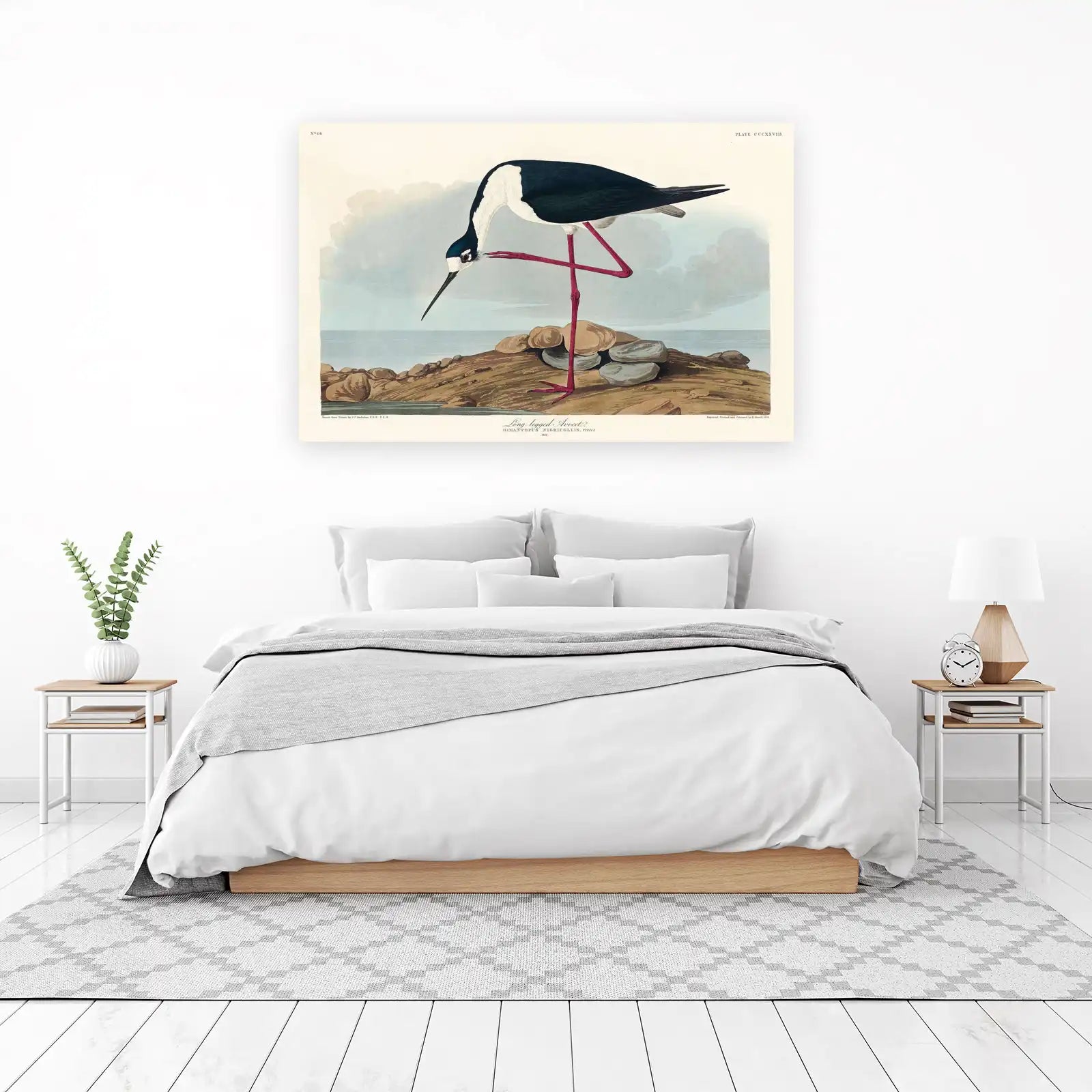 Audubon Long-Legged Avocet Wall Art