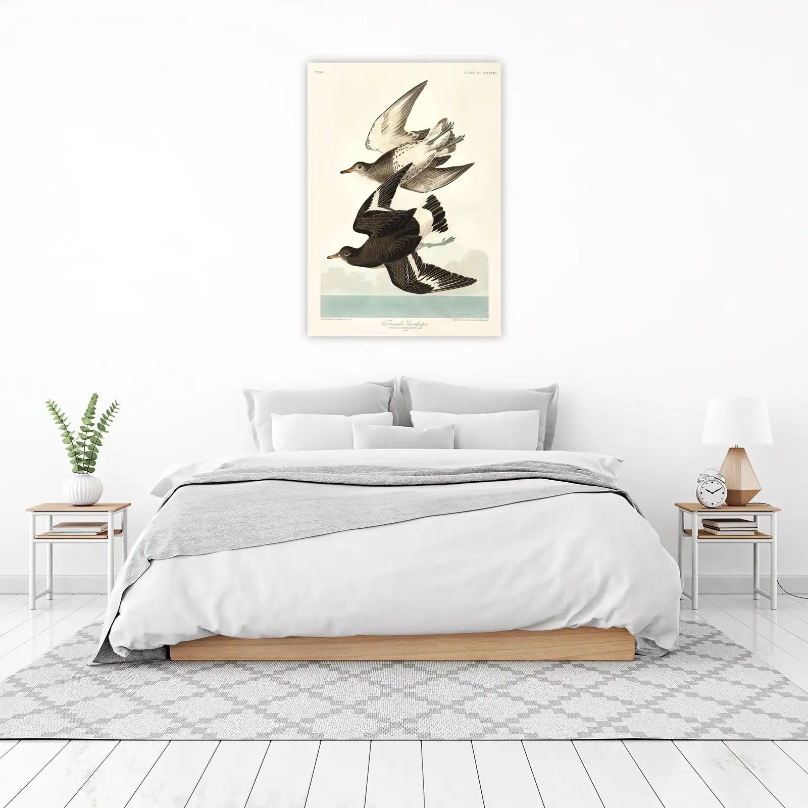 Audubon Townsend's Sandpiper Art Wall Art