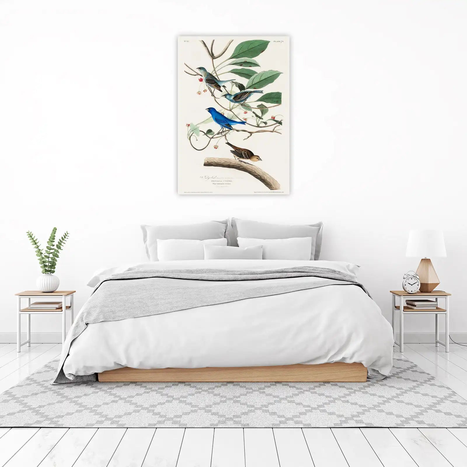Indigo Bunting Vintage Bird Art Wall Art