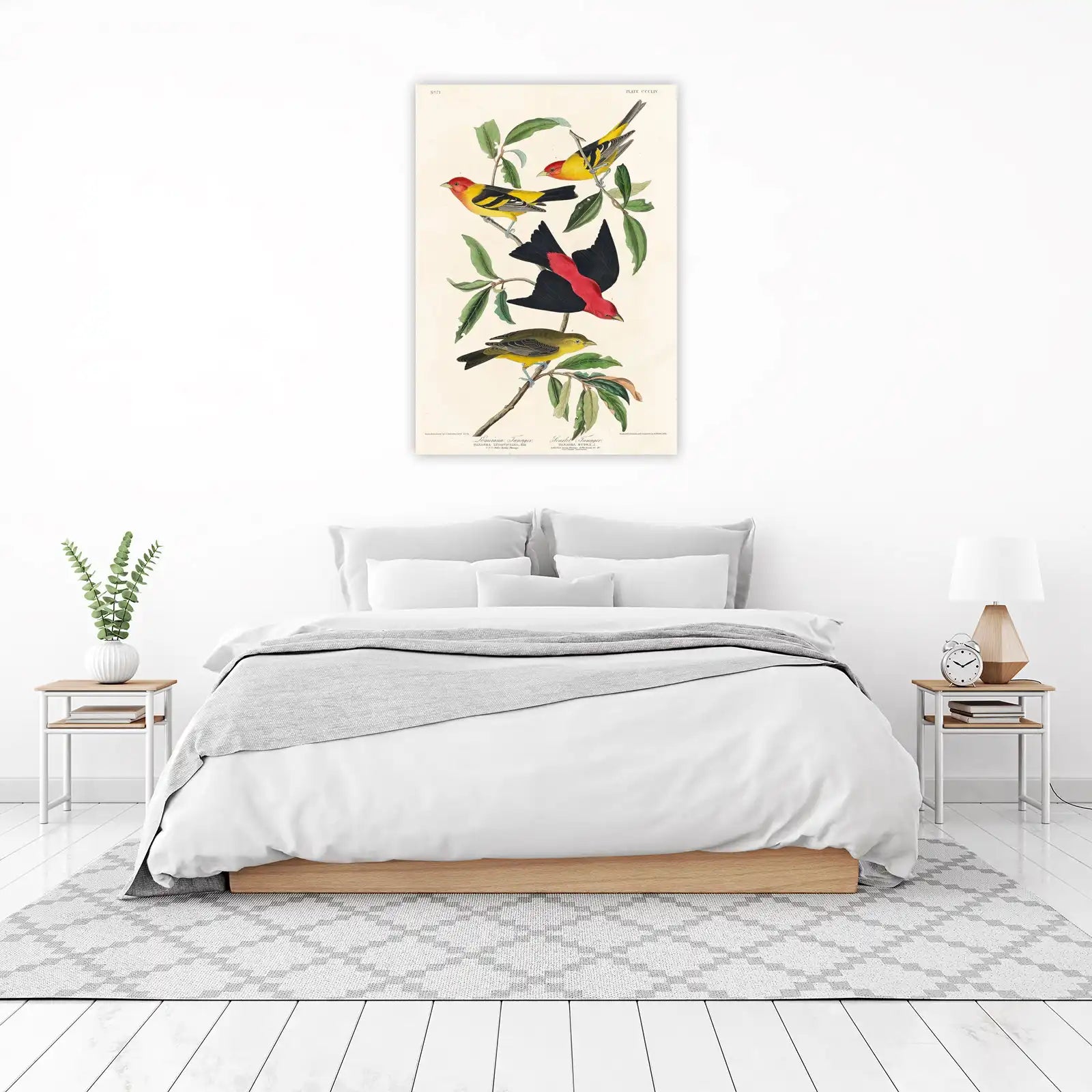 Vibrant Bird Art Wall Art | Audubon Style Wall Decor