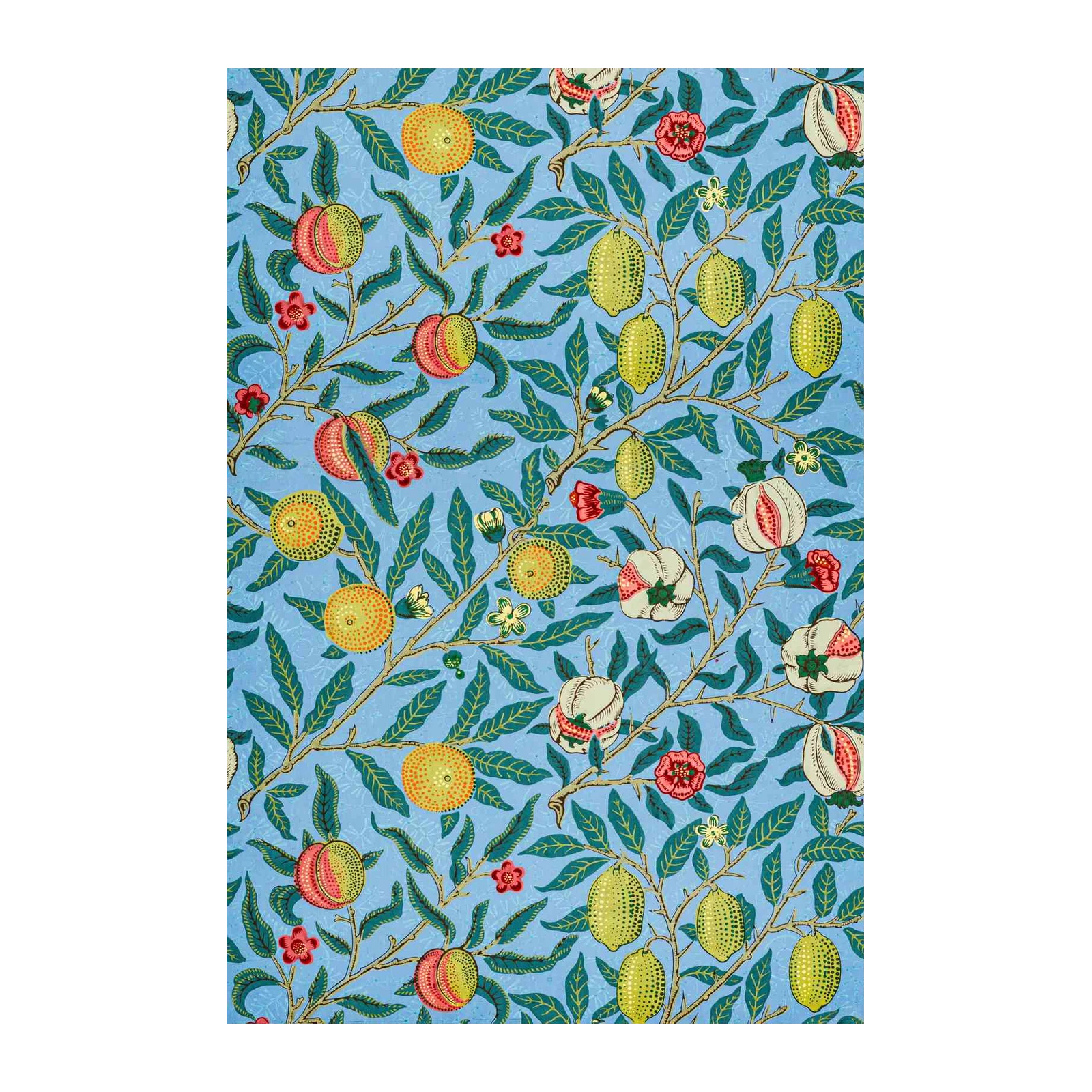 Vintage Fruit Garden Floral Wall Art