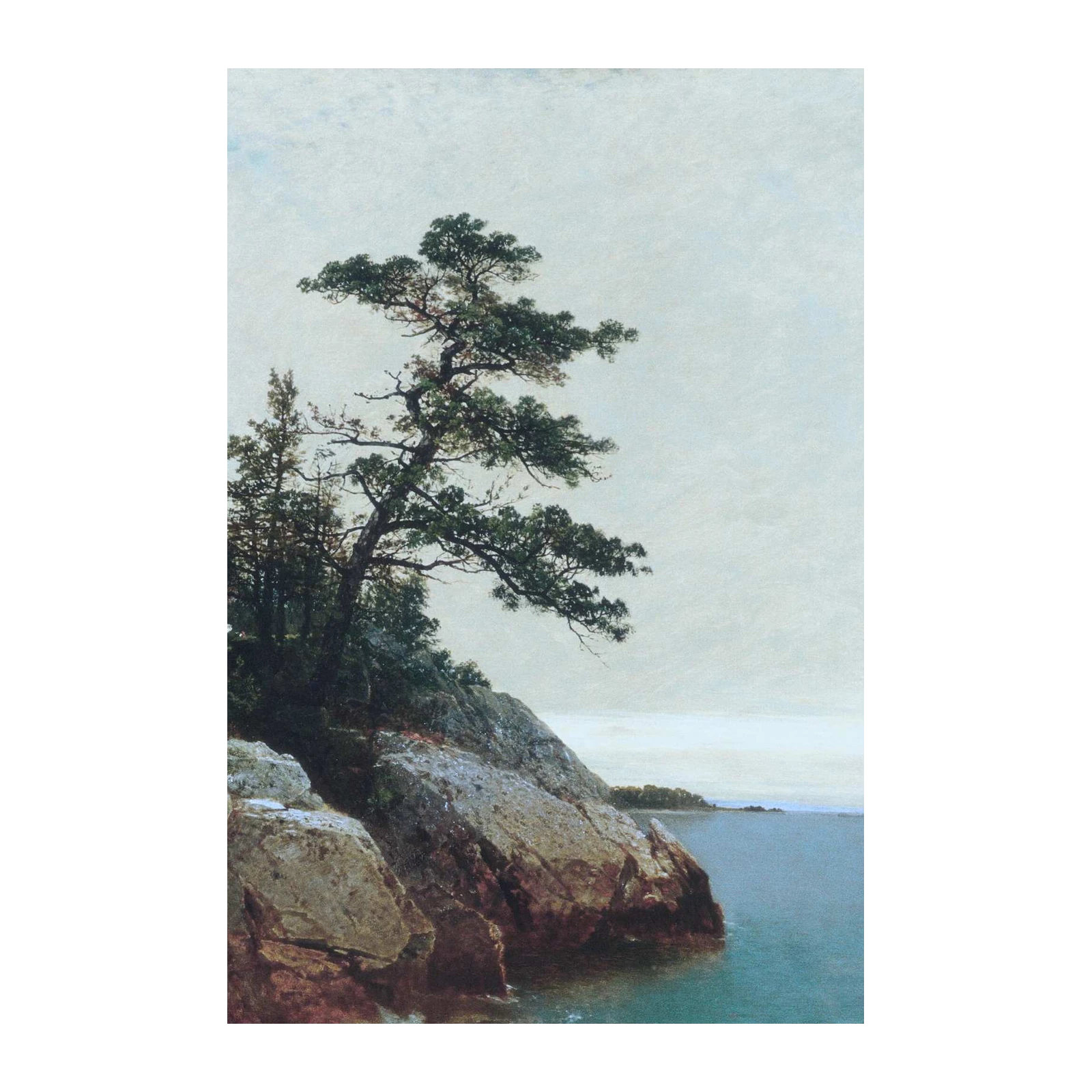 Serene Coastal Pine & Rocky Shore Wall Art