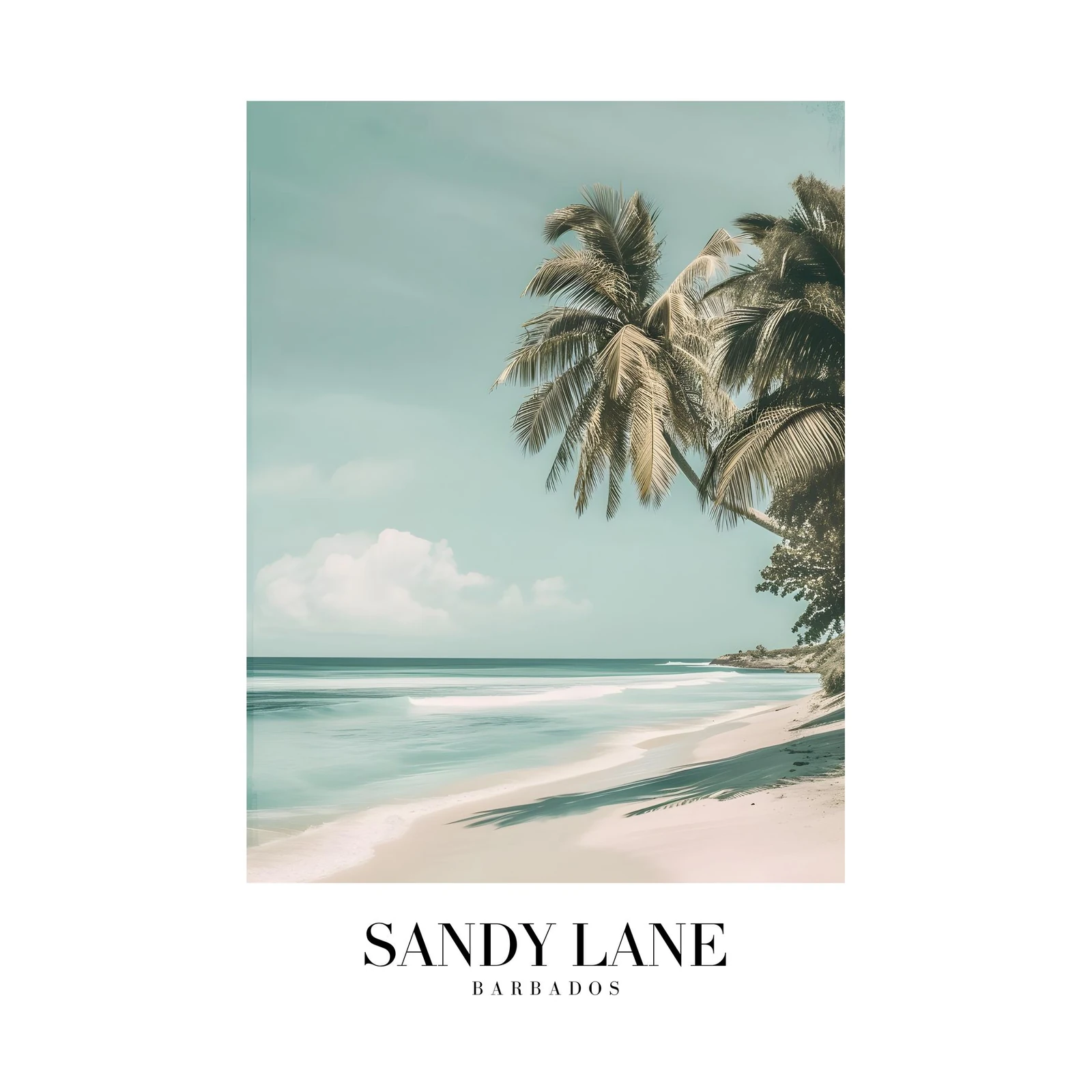 Tranquil Barbados Beach Palm Wall Art