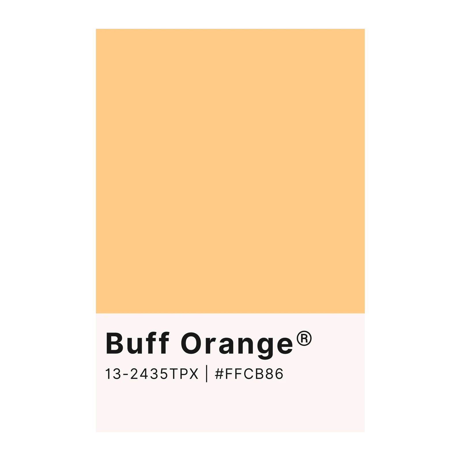 Warm Buff Orange Solid Color Wall Art Wall Art