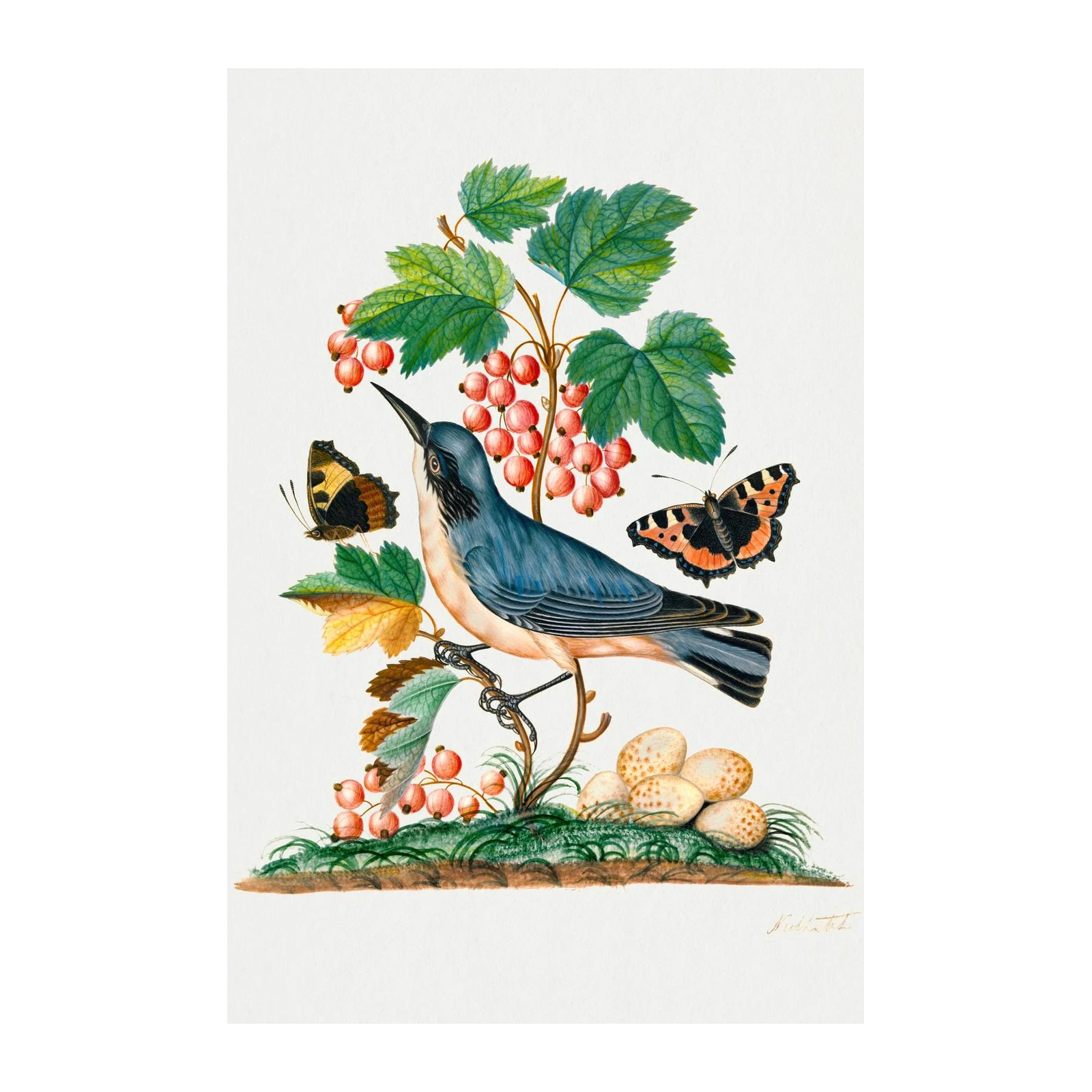 Vintage Bird & Butterfly Botanical Wall Art