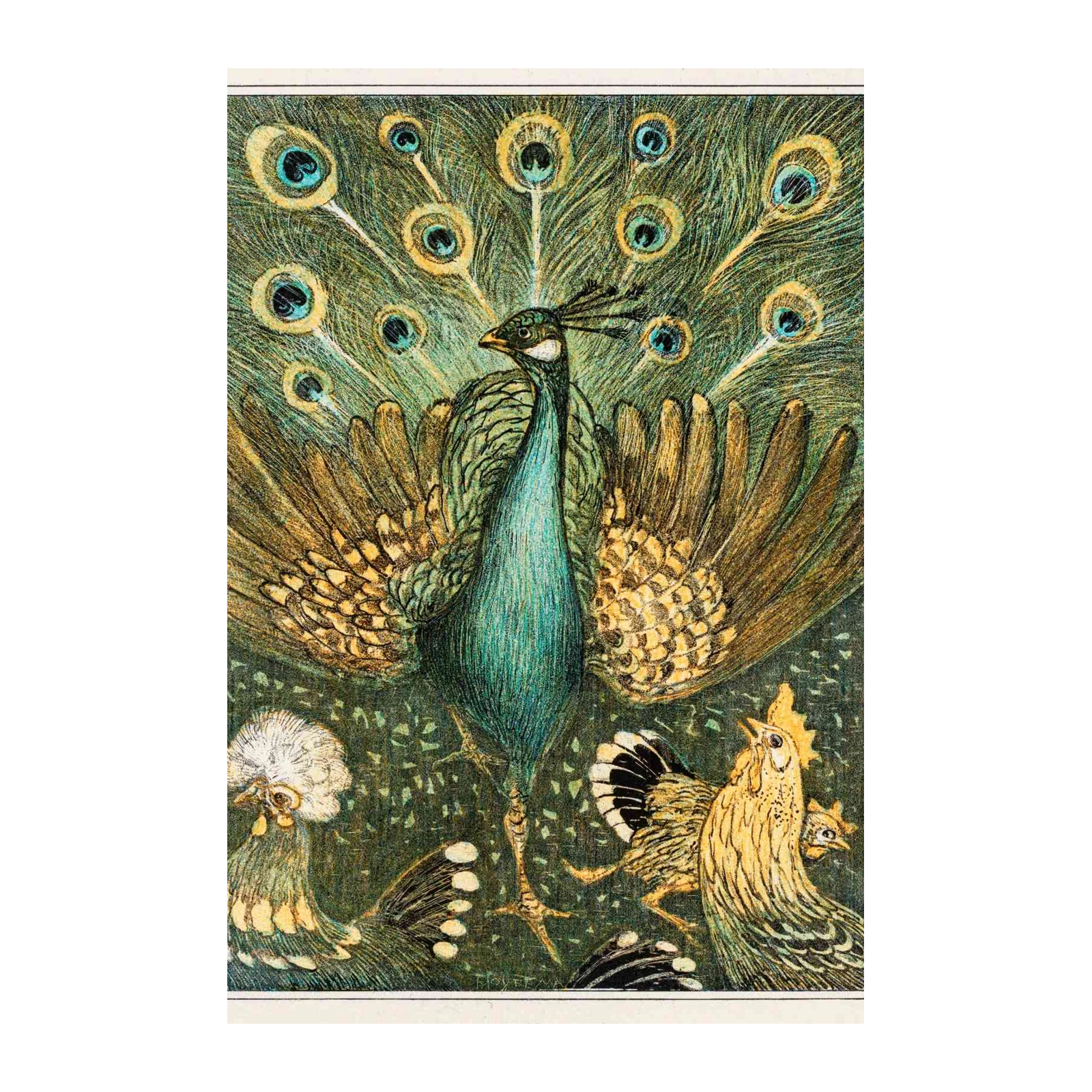 Majestic Peacock & Hens Vintage Art Wall Art