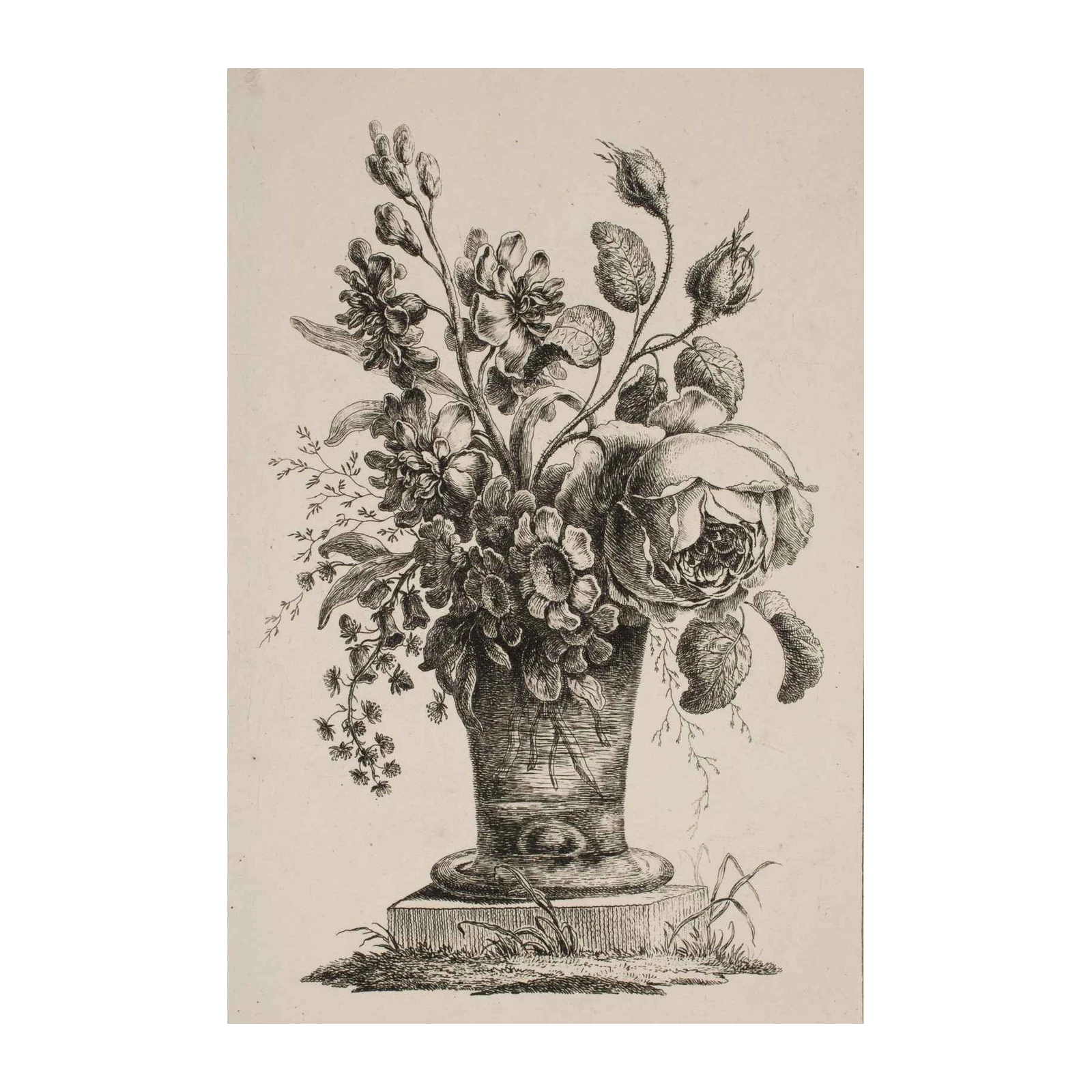 Vintage Floral Still Life Etching Wall Art