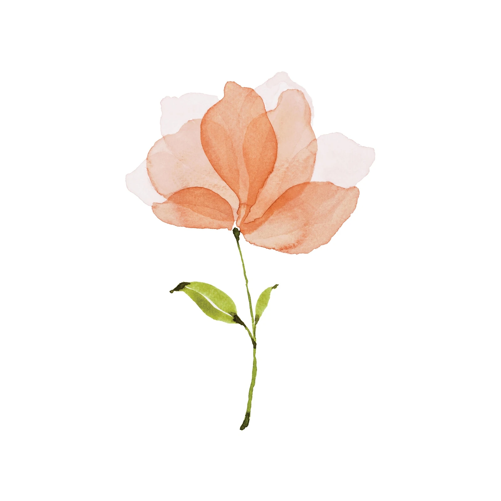 Soft Peach Floral Watercolor Wall Art