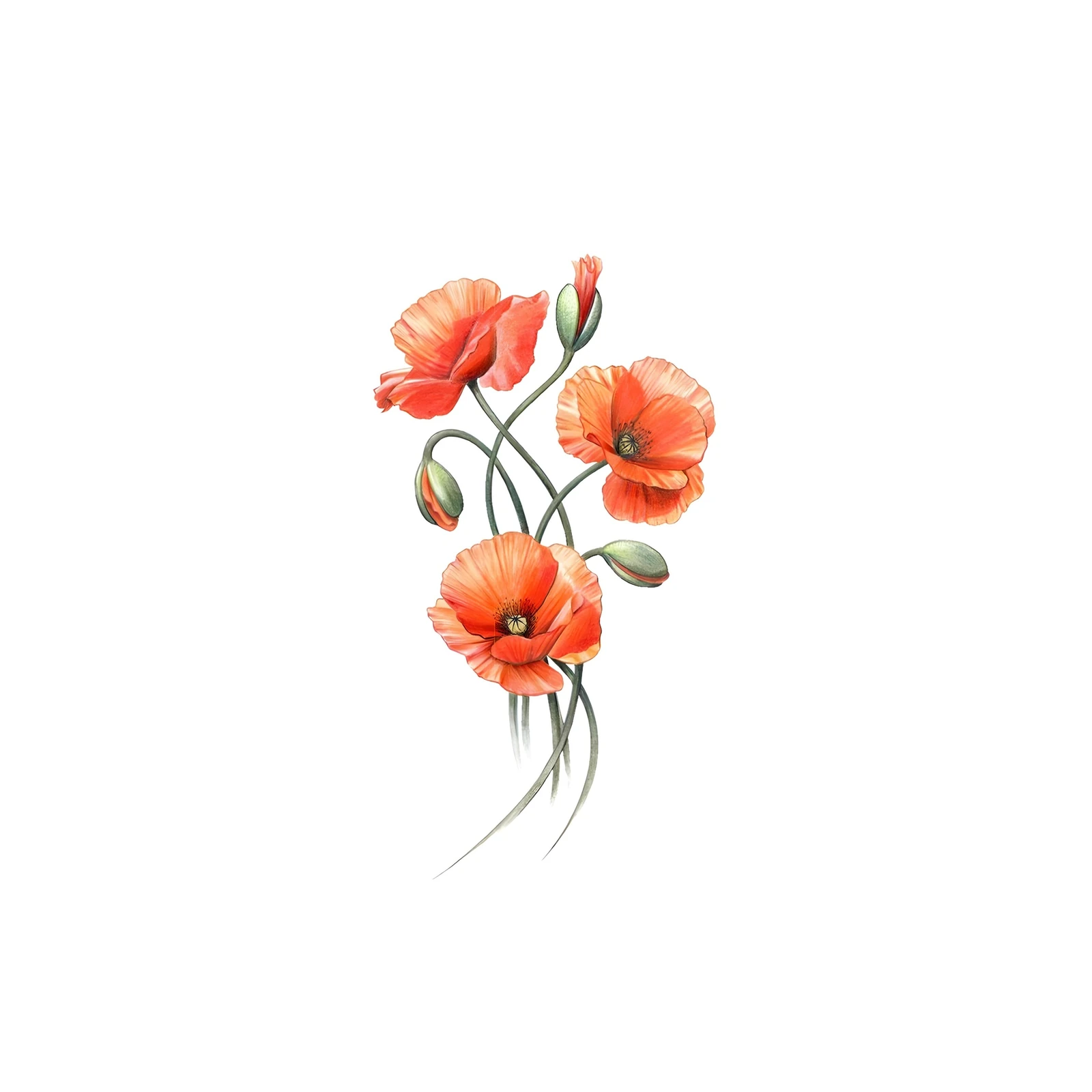 Vibrant Red Poppies Floral Watercolor Wall Art
